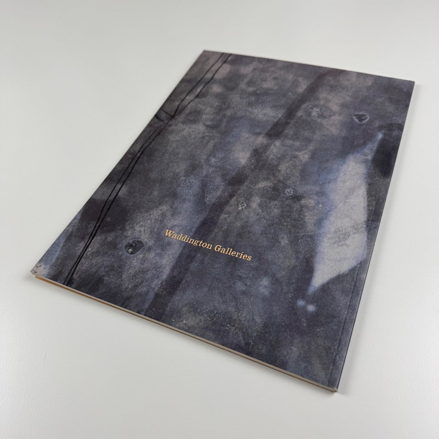 Robert Rauschenberg. Short Stories | Waddington Galleries, 2002
