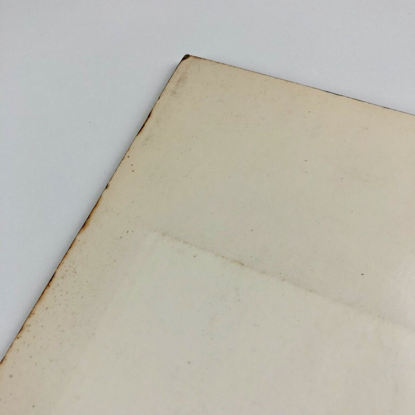 Sense and Sensibility. In Feminist Art Practice | Midland Group Nottingham, 1982