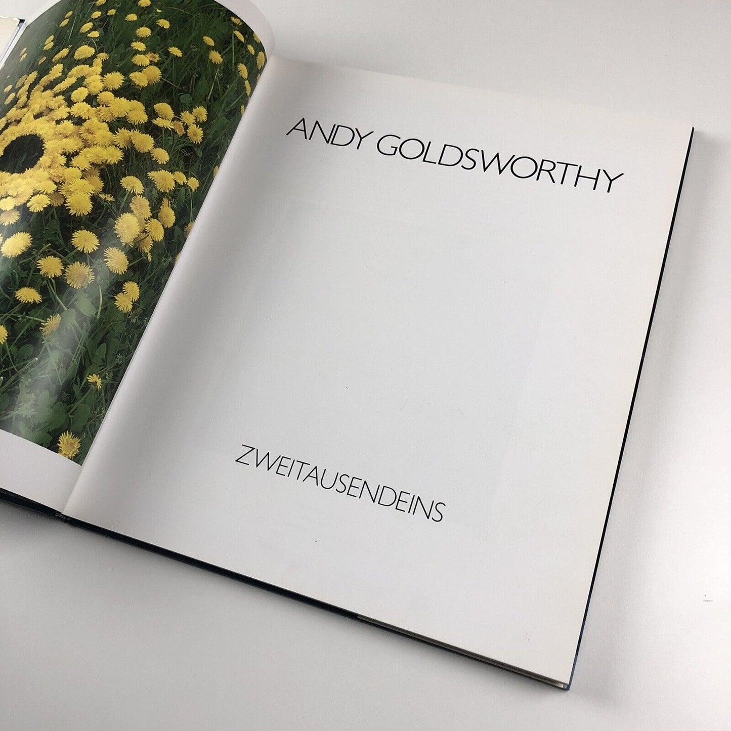 Andy Goldsworthy | Zweitausendeins, 2000