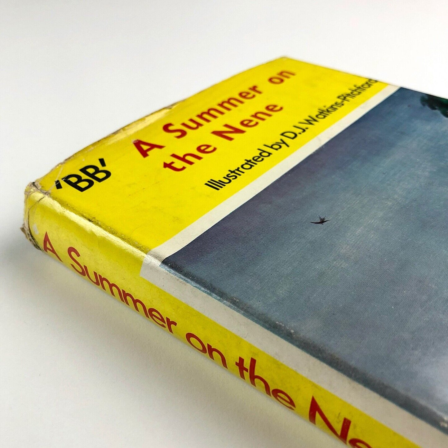 A Summer on the Nene by 'BB' | D. J. Watkins-Pitchford | Kaye & Ward Ltd, 1967 | Hardback