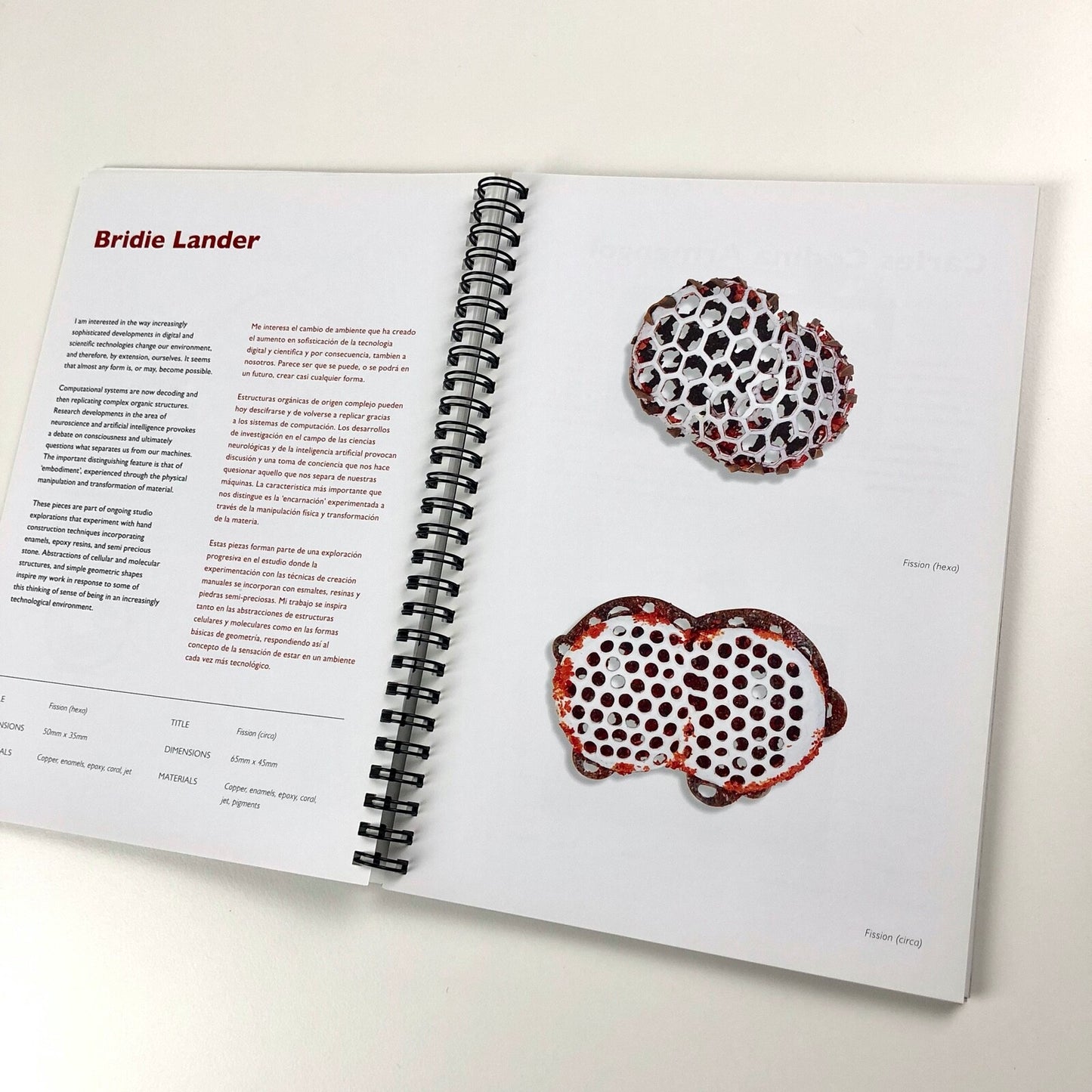 Paradigma – exhibition catalogue | Birmingham City Uni / Escola Massana 2009