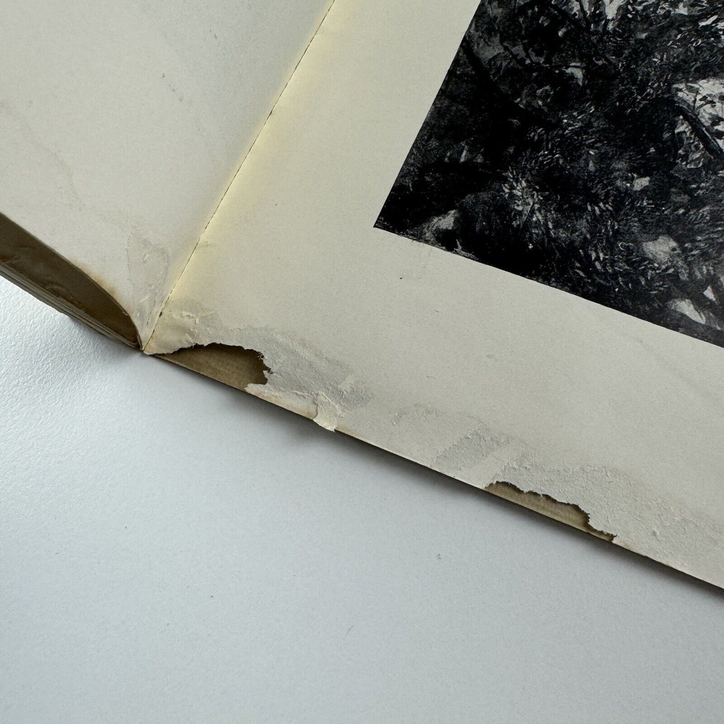 The Slade. A Collection of Drawings and some Pictures Done by Past and Present Students of the London Slade School of Art – MDCCCXCIII to MDCCCCVII | 1907, limited edition