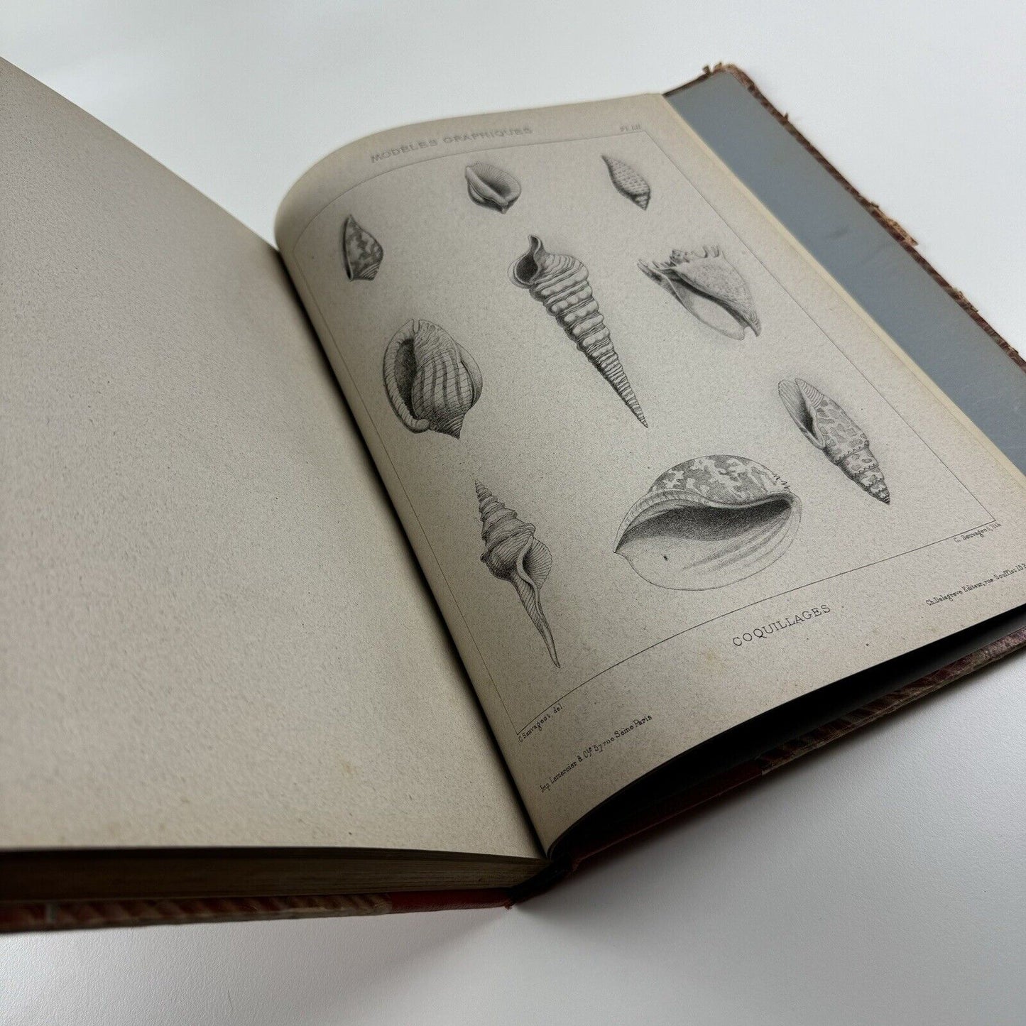 Enseignement du dessin par les solides applicable dans les écoles primaires, professionnelles & supérieures by Claude Sauvageot | Ch. Delagrave, Paris, 1882