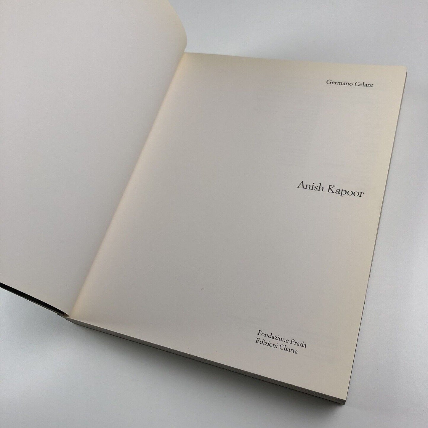 Anish Kapoor by Germano Celant | Edizioni Charta, 1996