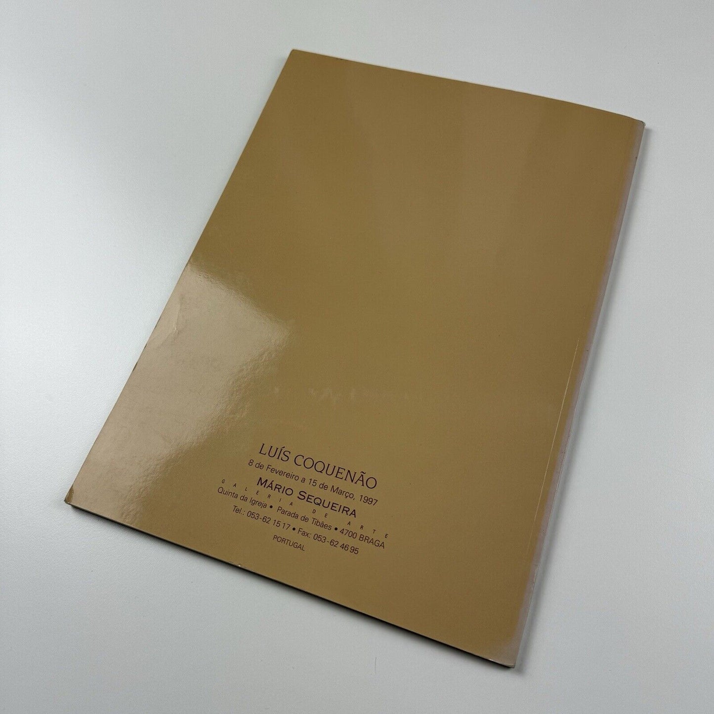 Luís Coquenão. Pintura | Galeria Mário Sequira, Portugal | Exhibition catalogue, 1997