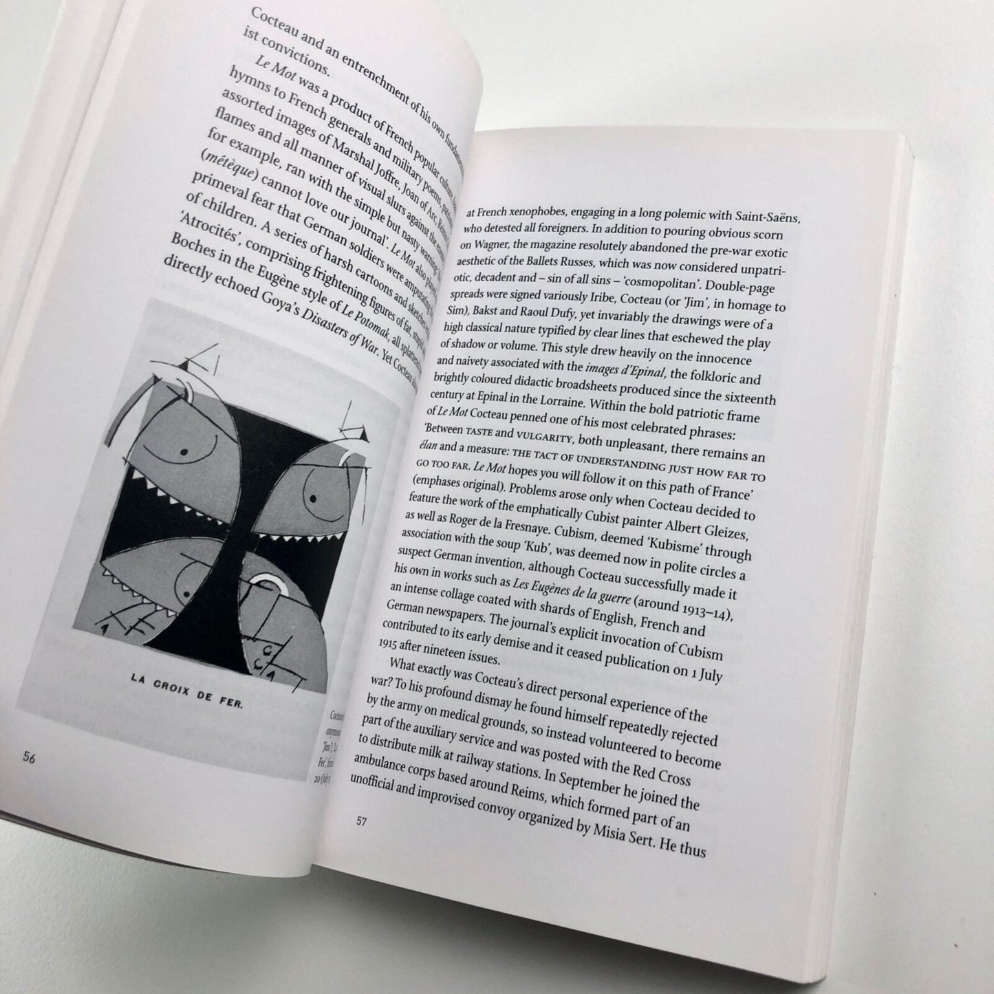 Jean Cocteau by James S. Williams | Critical Lives series / Reaction Books, 2008