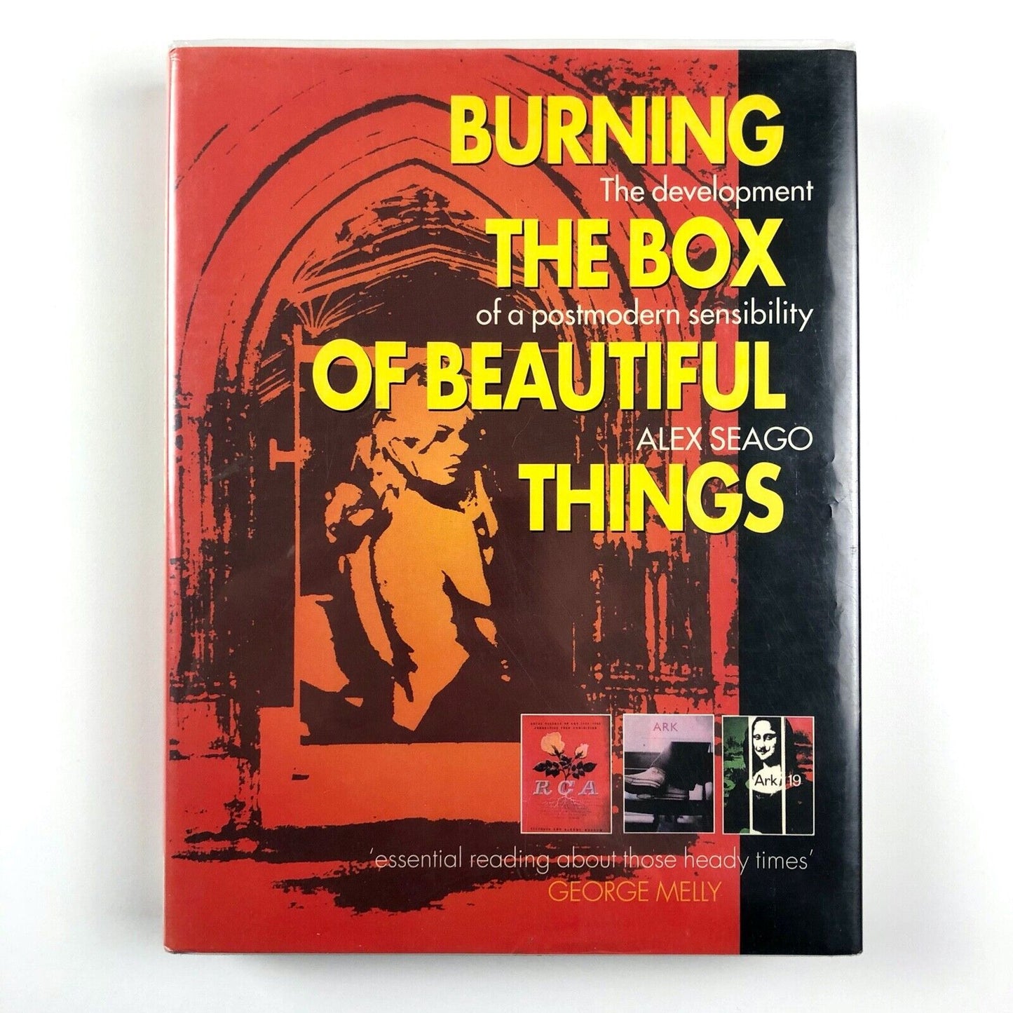 Burning the Box of Beautiful Things by Alex Seago | Oxford University Press 1995