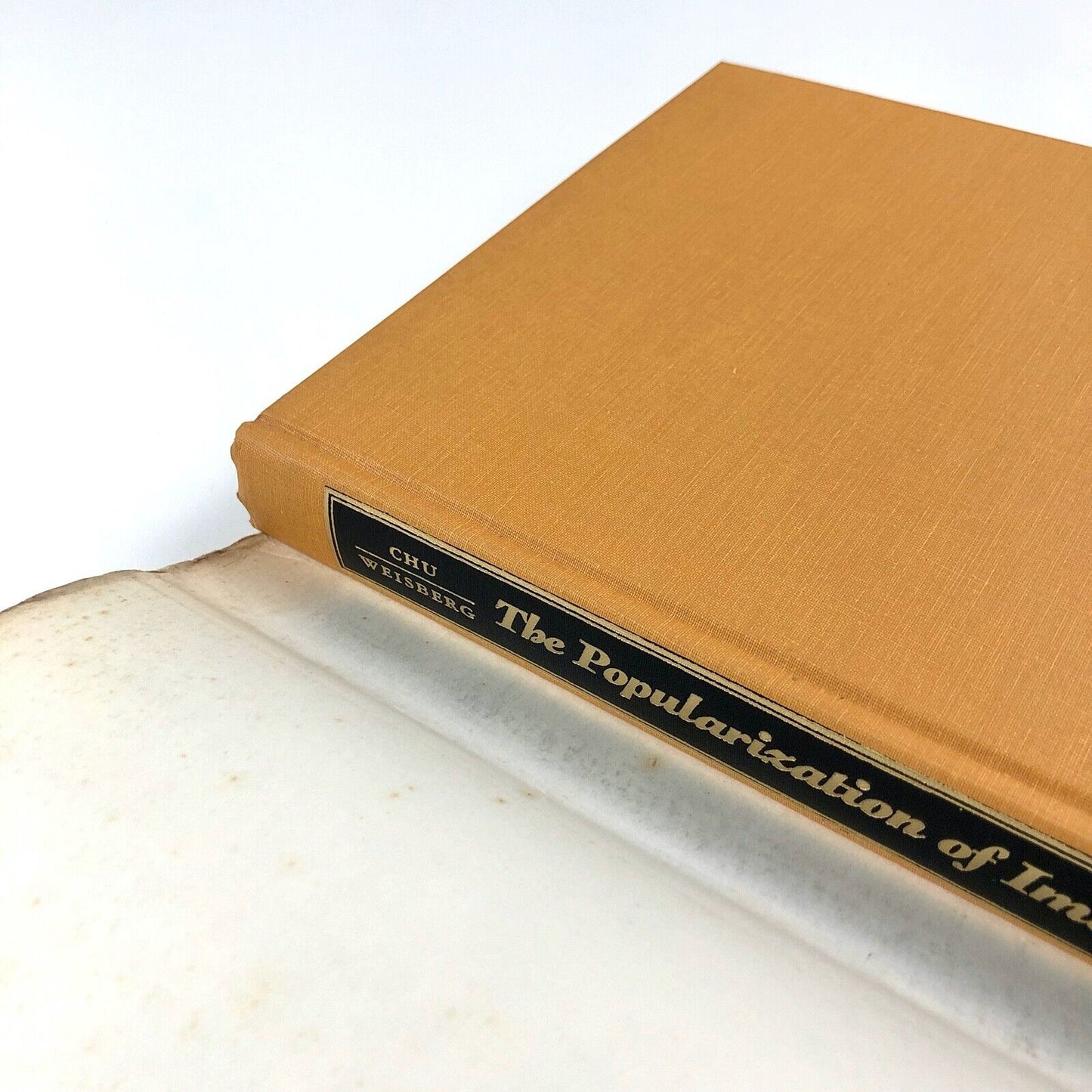 The Popularization of Images | Petra Ten-Doesschate Chu & Gabriel Weisberg, 1994