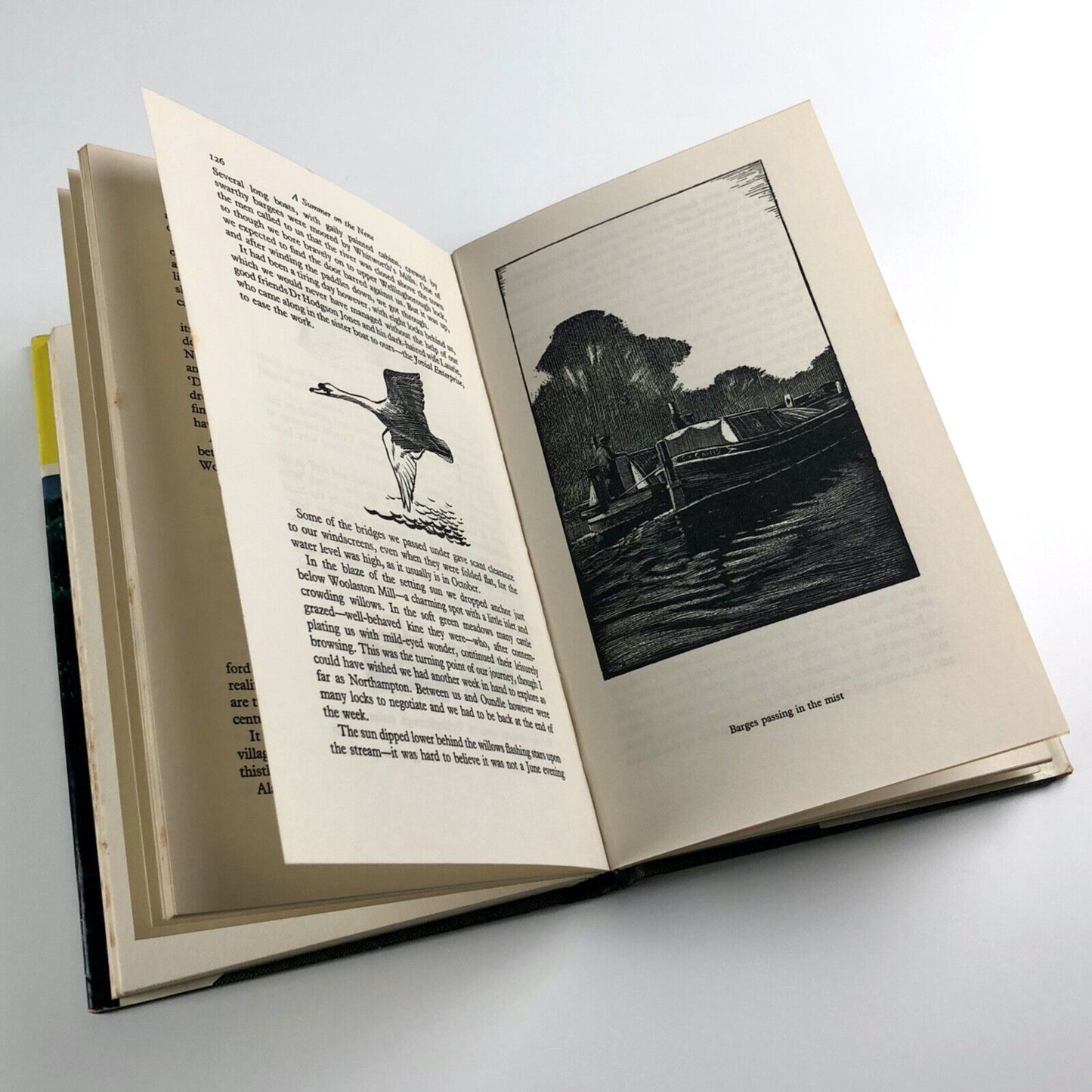 A Summer on the Nene by 'BB' | D. J. Watkins-Pitchford | Kaye & Ward Ltd, 1967 | Hardback