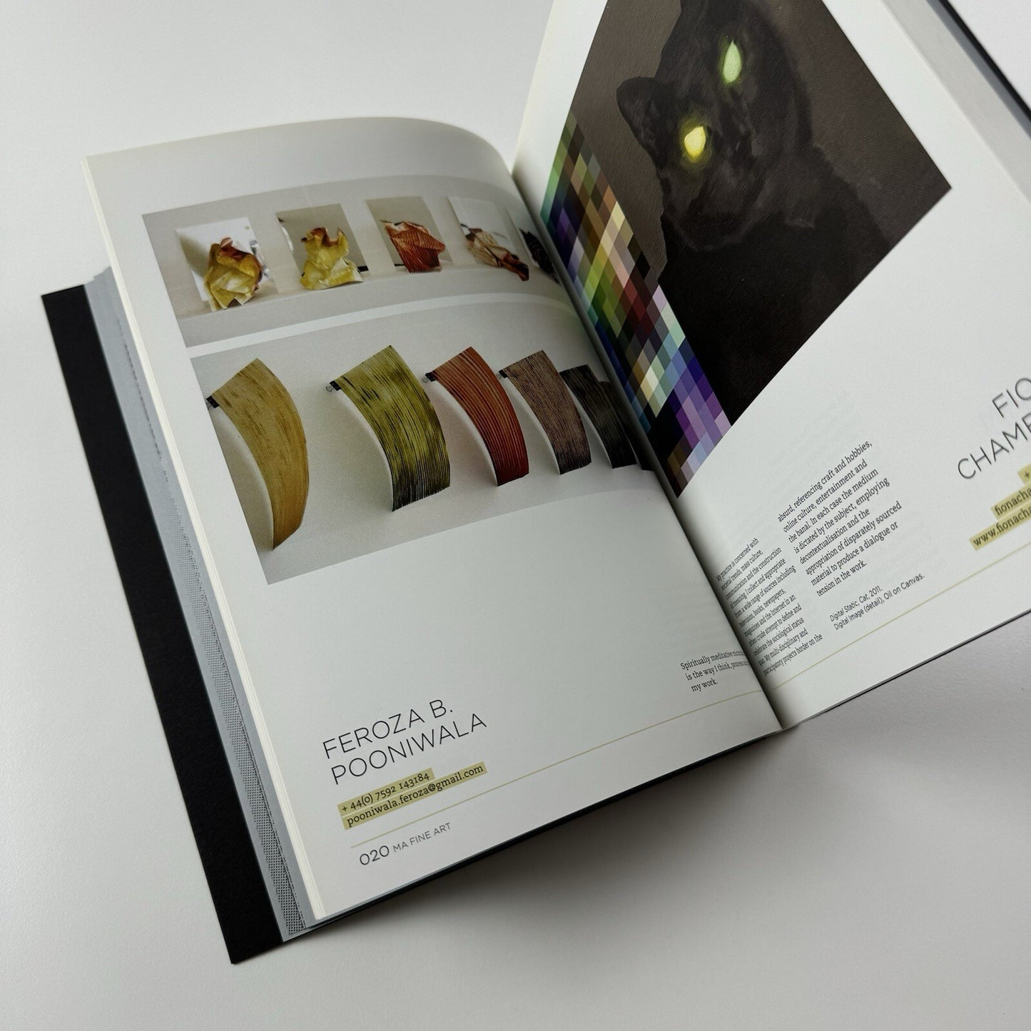Masters of Arts 2011 – Chelsea College of Art & Design postgraduate show catalogue, 2011