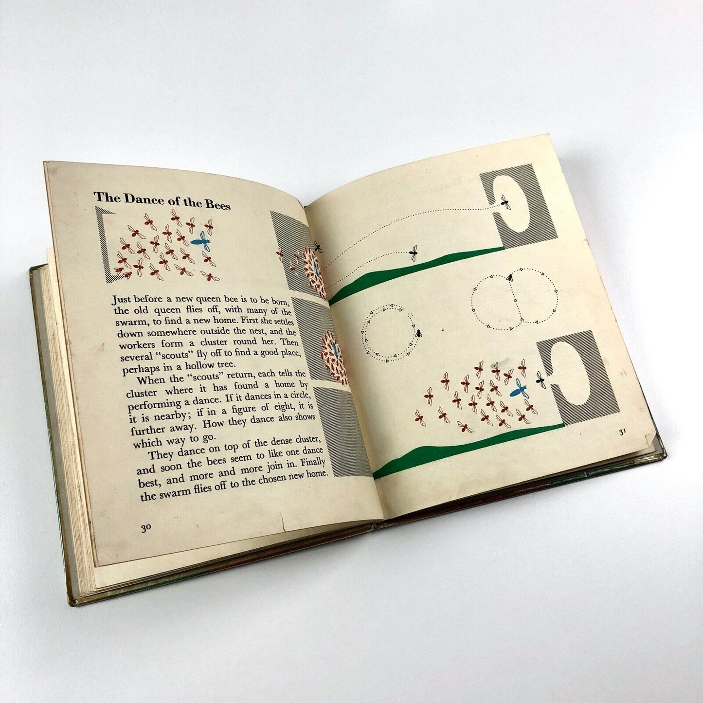 The Wonder World of Nature: Animal Travellers | Marie Neurath / Isotype 1959