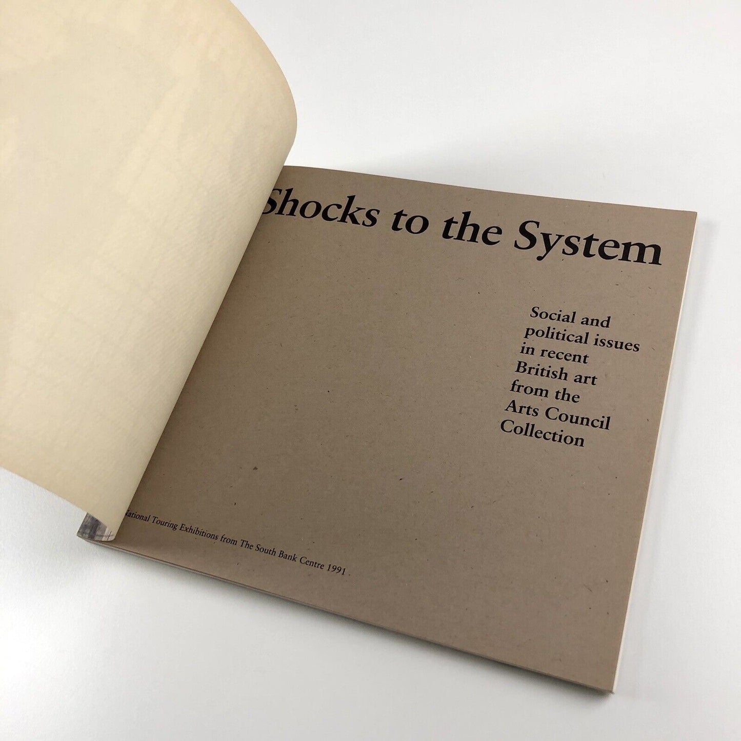 Shocks to the System. Social and Political Issues in Recent British Art | Arts Council, 1991