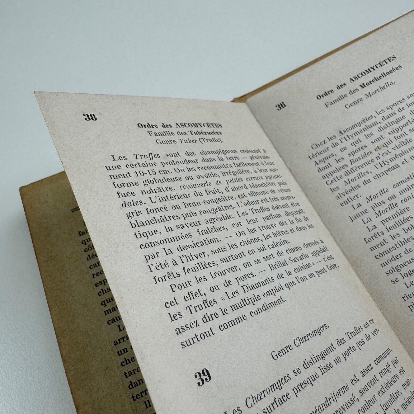 Petit Atlas Des Champignons. Delachaux & Niestlé. Neuchâtel. Undated believed to date from 1900. Text in French. Small pocket sized book with fold out pages