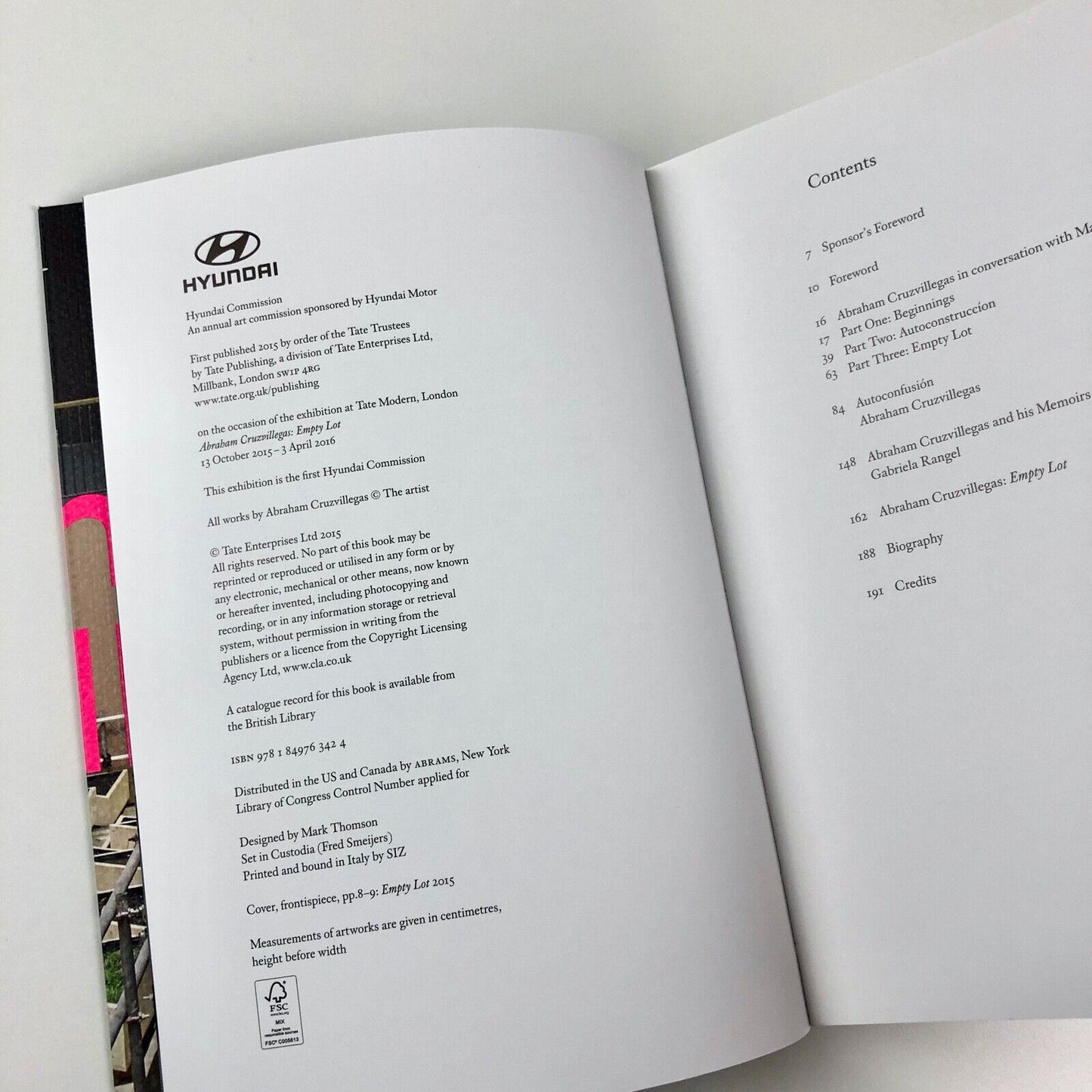 Abraham Cruzvillegas: Empty Lot | Tate Modern exhibition catalogue, 2015