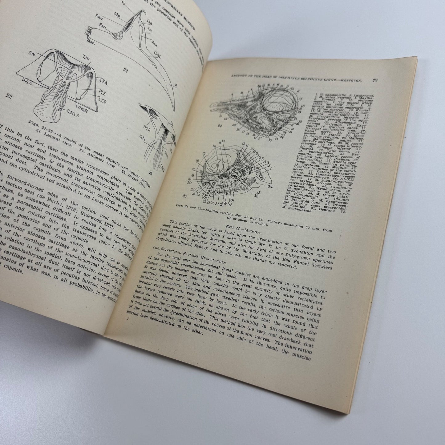 Records of the Australian Museum ed. A.B. Walkom Vol XXI, No. 1 4 July 1941
