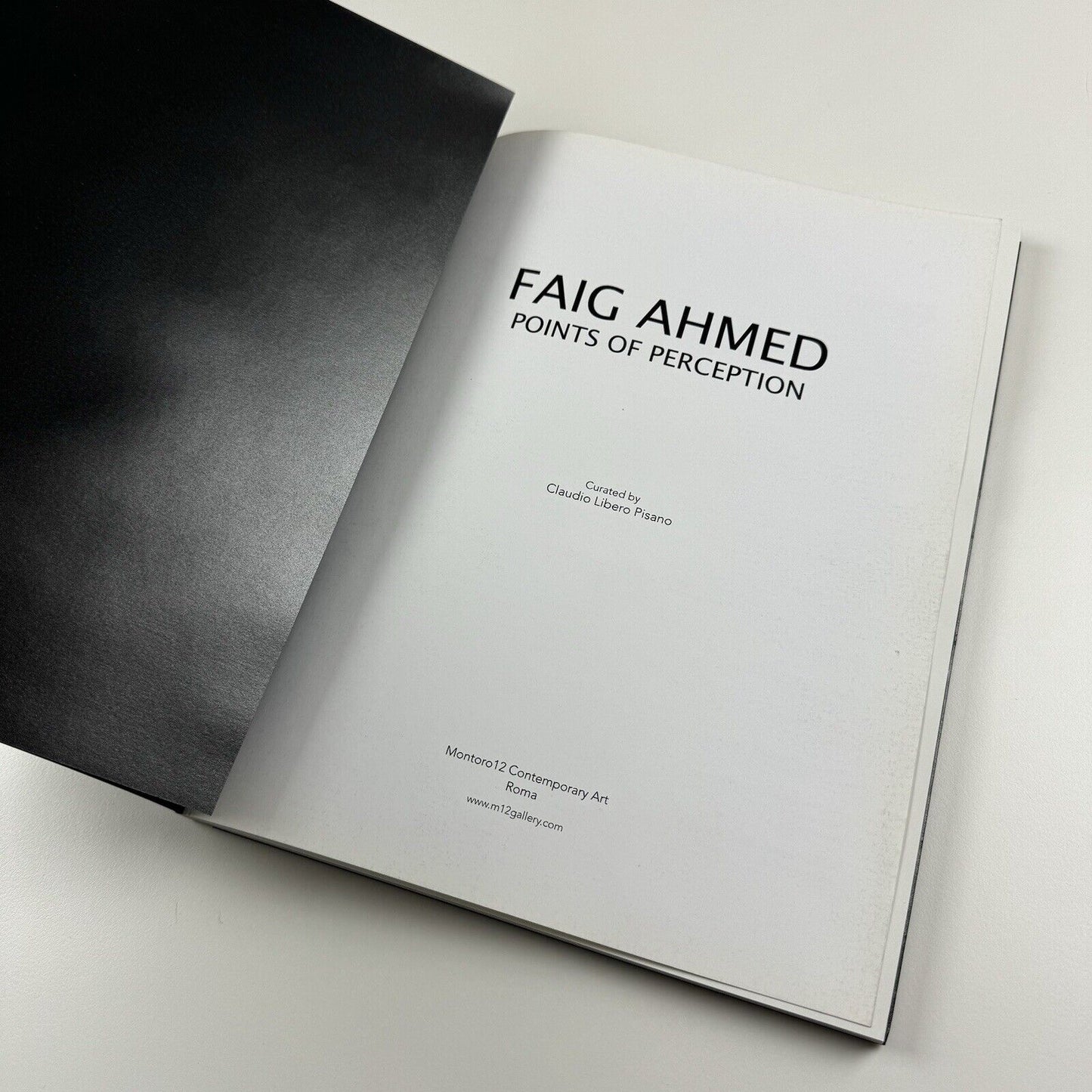 Faig Ahmed. Points of Perception | Montoro 12 Contemporary Art Rome catalogue, 2016