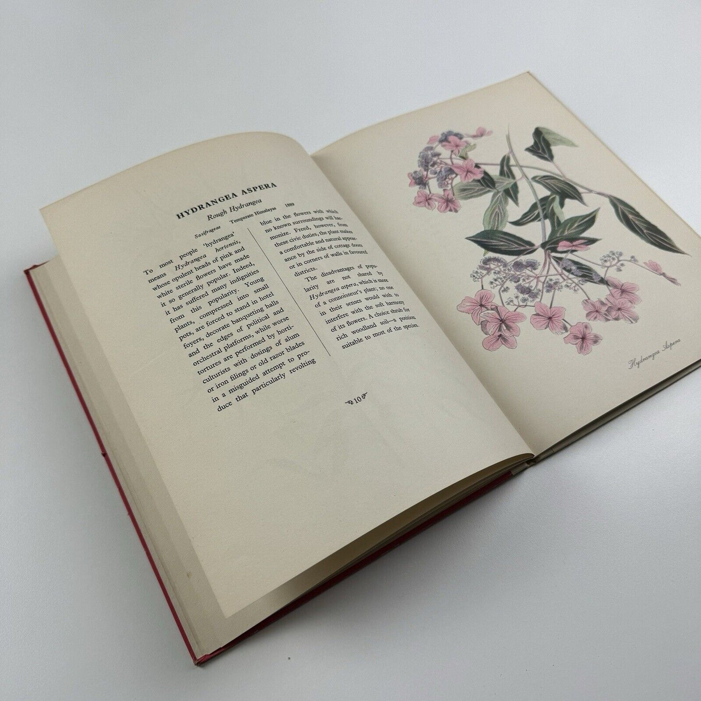 English Garden Flowers by John Nash | Duckworth, London, 1948