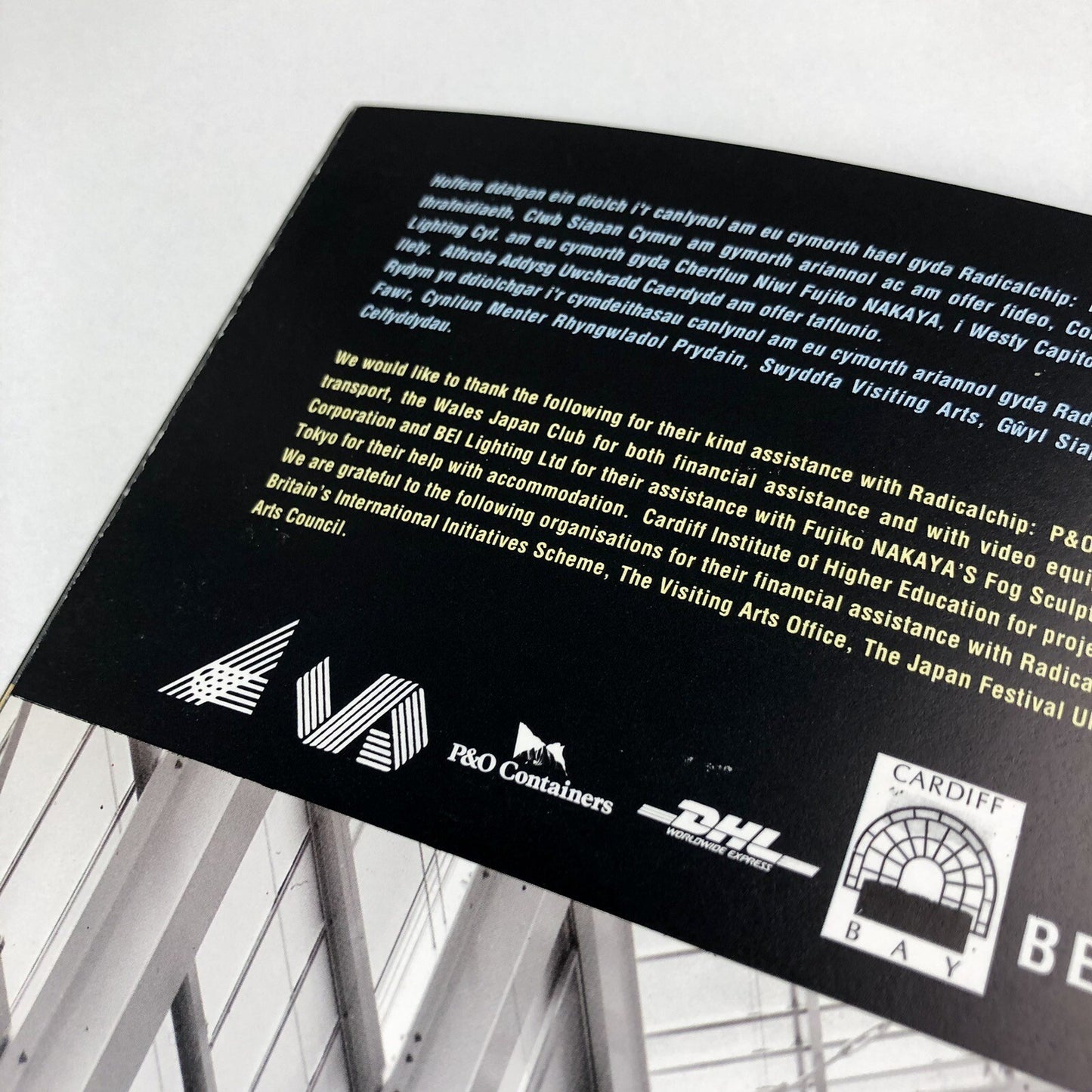 Radicalchip. Contemporary Art from Japan | Gallery guide, 1991 Japan Festival
