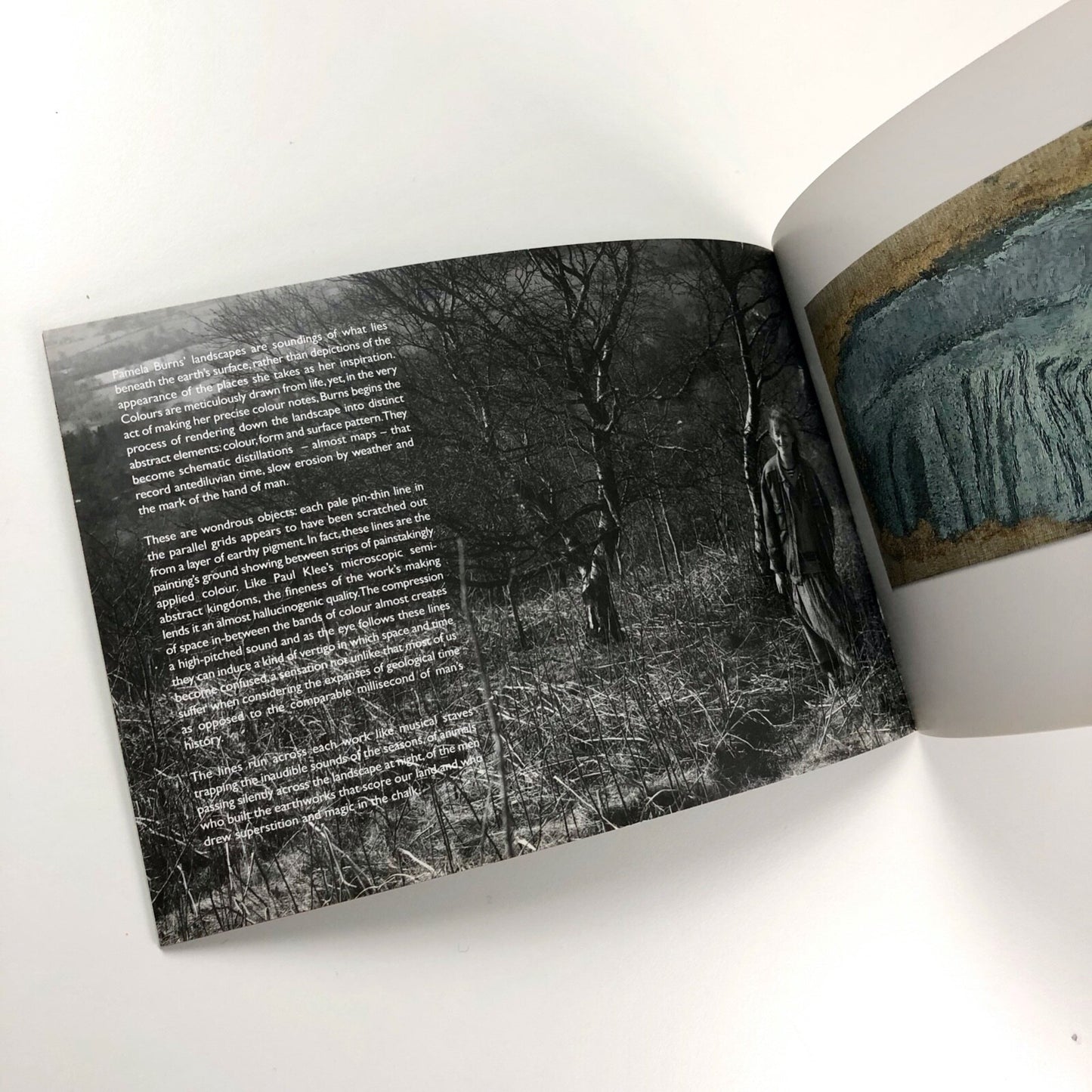 Pamela Burns | Jonathan Clark Fine Art, undated catalogue