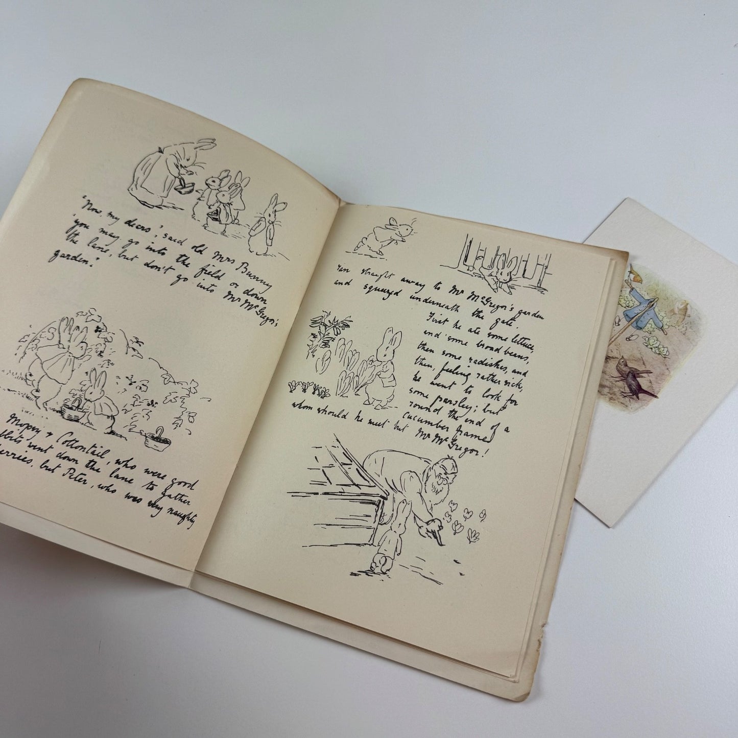A souvenir of the Beatrix Potter Centenary Exhibition National Book League 1966