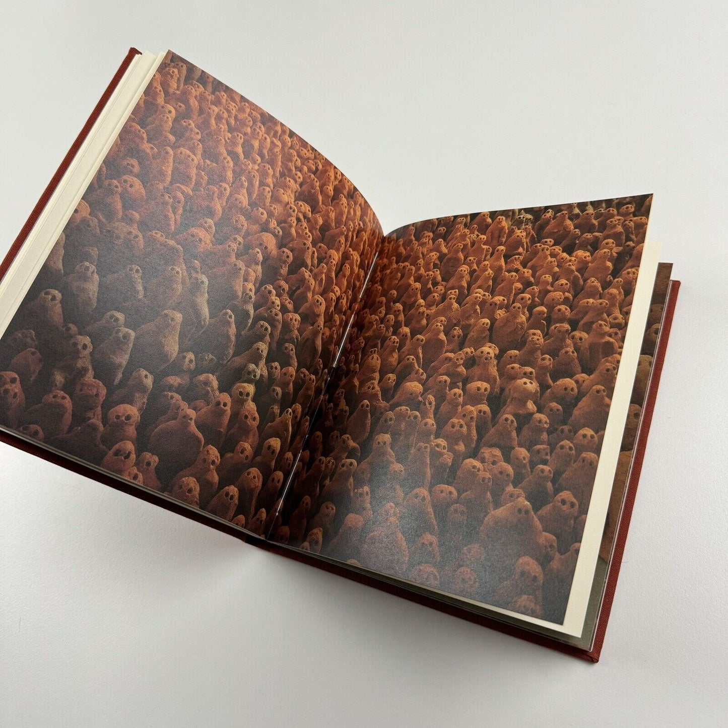 Antony Gormley Field for the British Isles 1996 |Edited by Oriel Mostyn | Signed by the artist