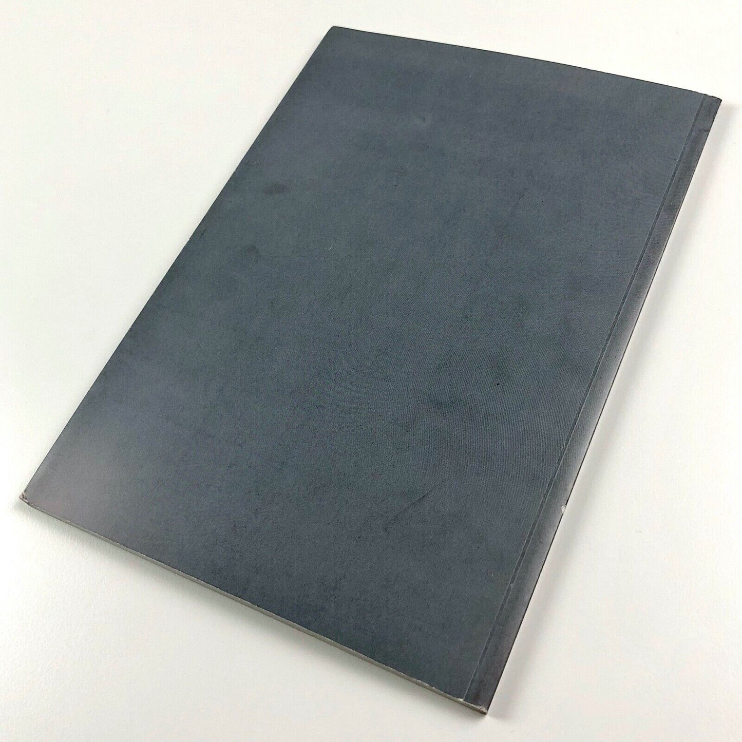 Roberto Caracciolo | Galerie Blancpain Stepczynski Geneva 2004 catalogue