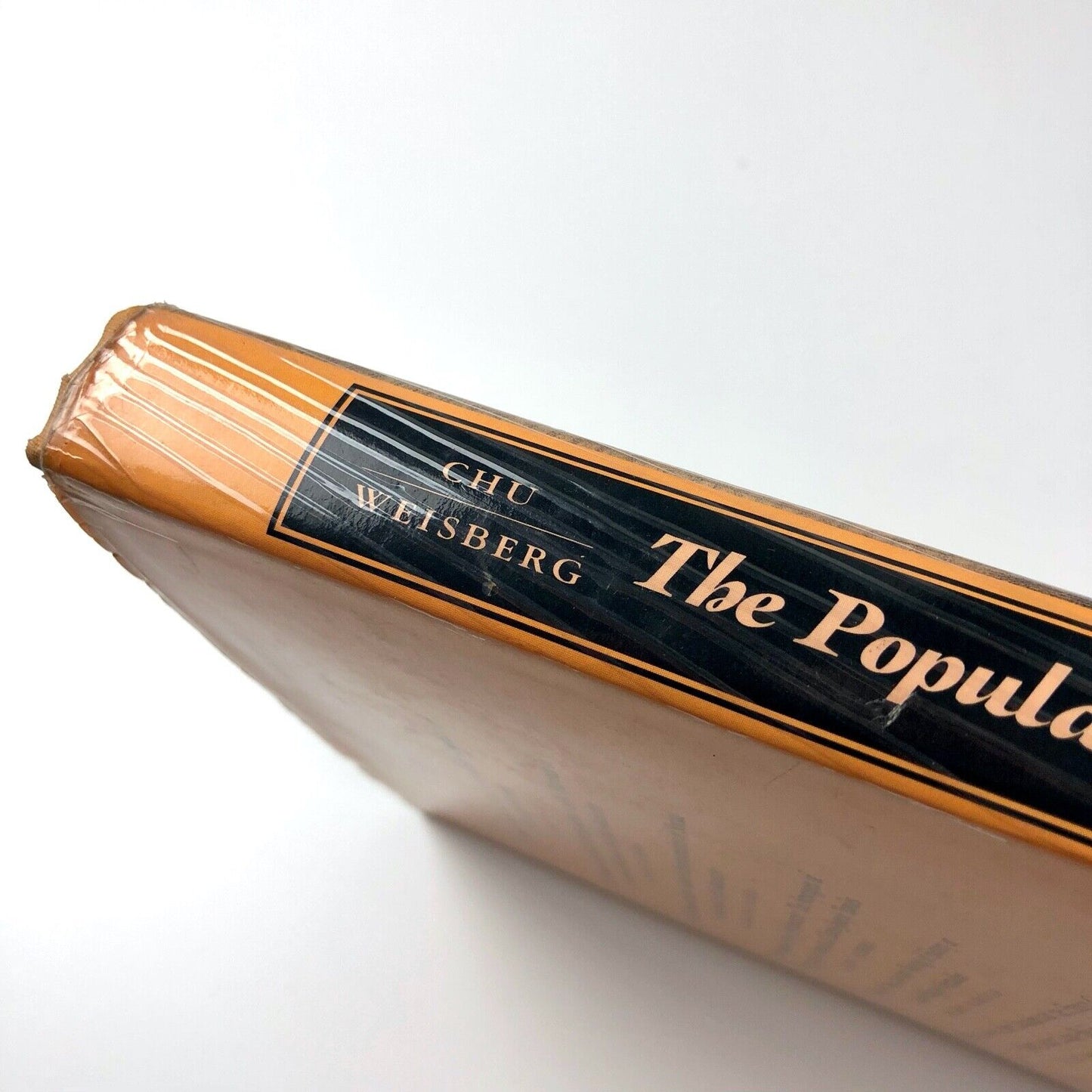 The Popularization of Images | Petra Ten-Doesschate Chu & Gabriel Weisberg, 1994