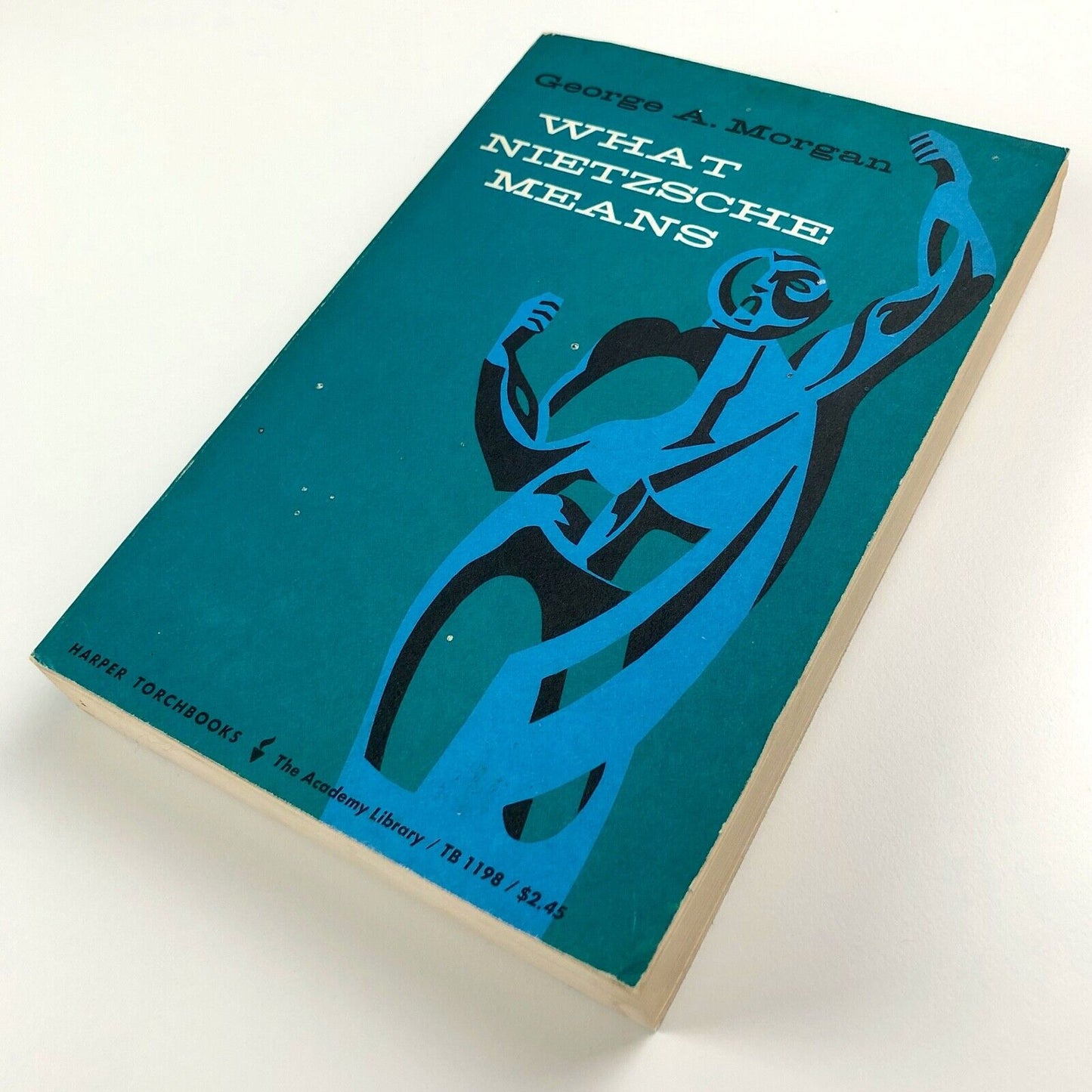 What Nietzsche Means by George A. Morgan | Harper Torchbooks, 1965