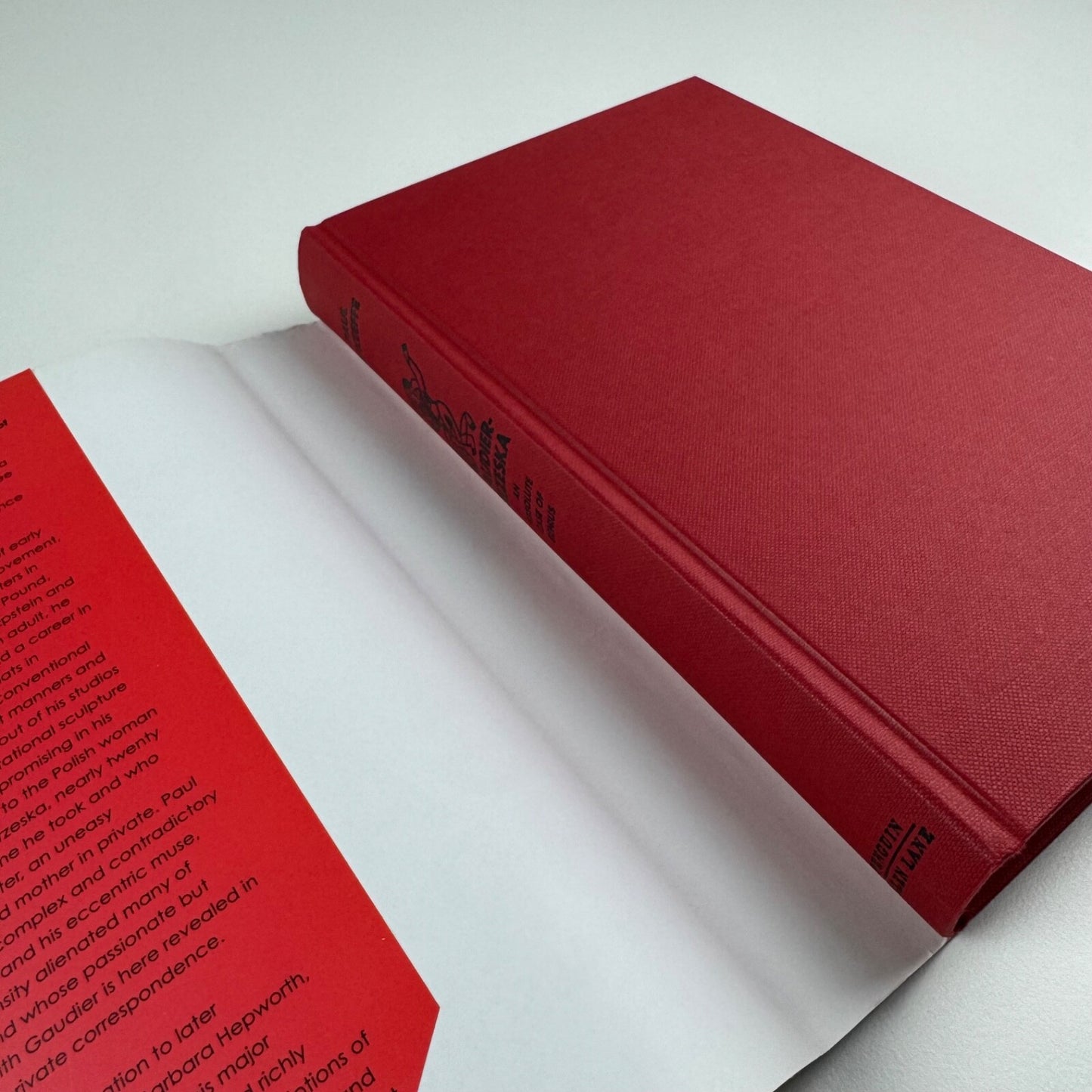Gaudier-Brzeska. An absolute case of genius by Paul O’Keeffe | Allen Lane, Penguin, 2004