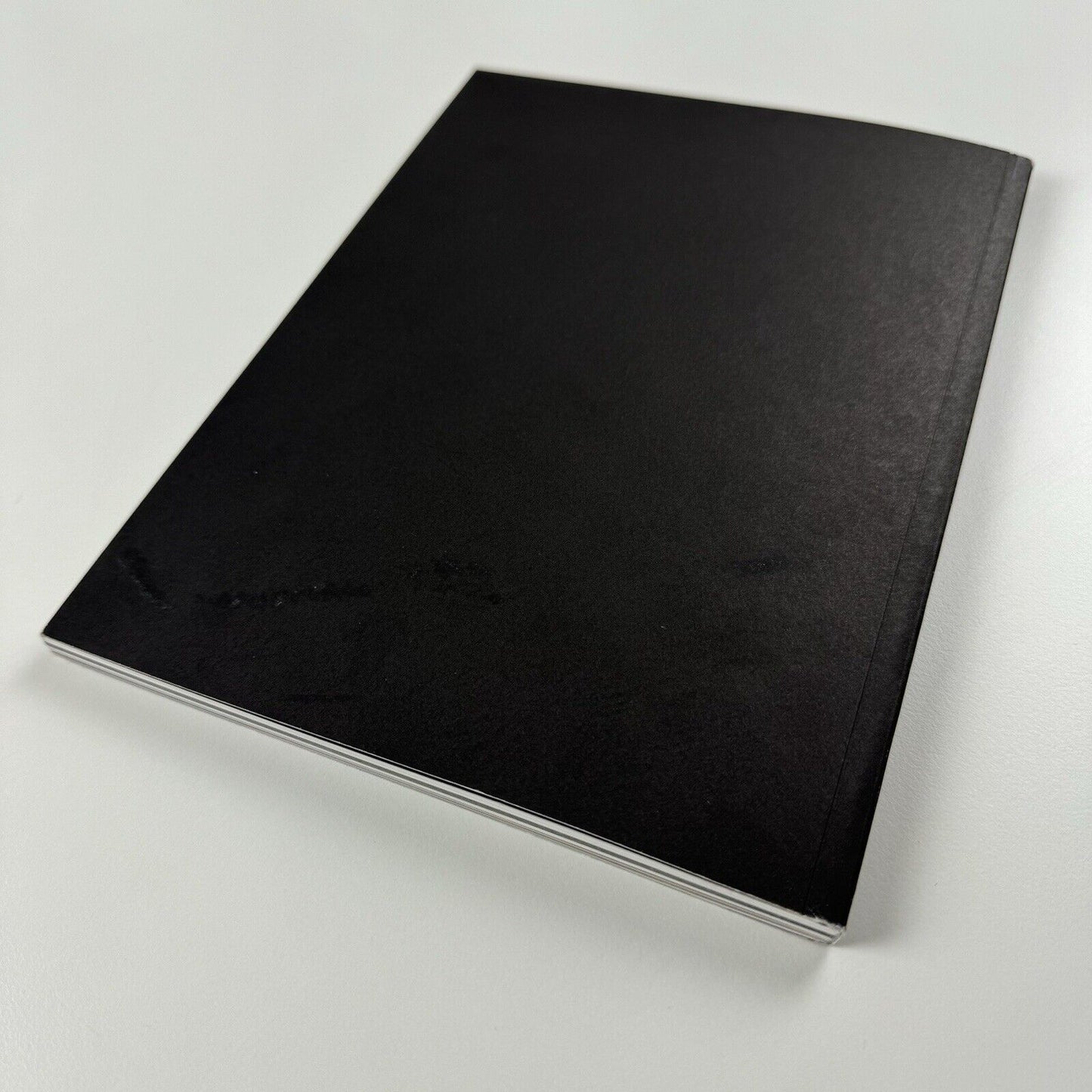 A Rectilinear Propagation of Thought: Heba Y. Amin | Zilberman Gallery catalogue, 2018