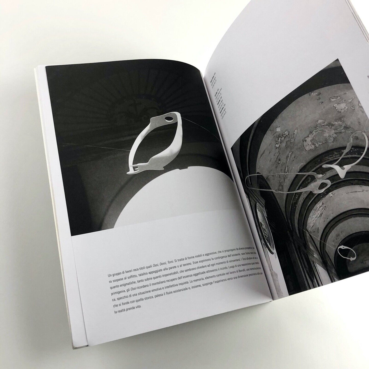 Domenico Borrelli exhibition catalogue | Studio Recalcati, Torino, 1998