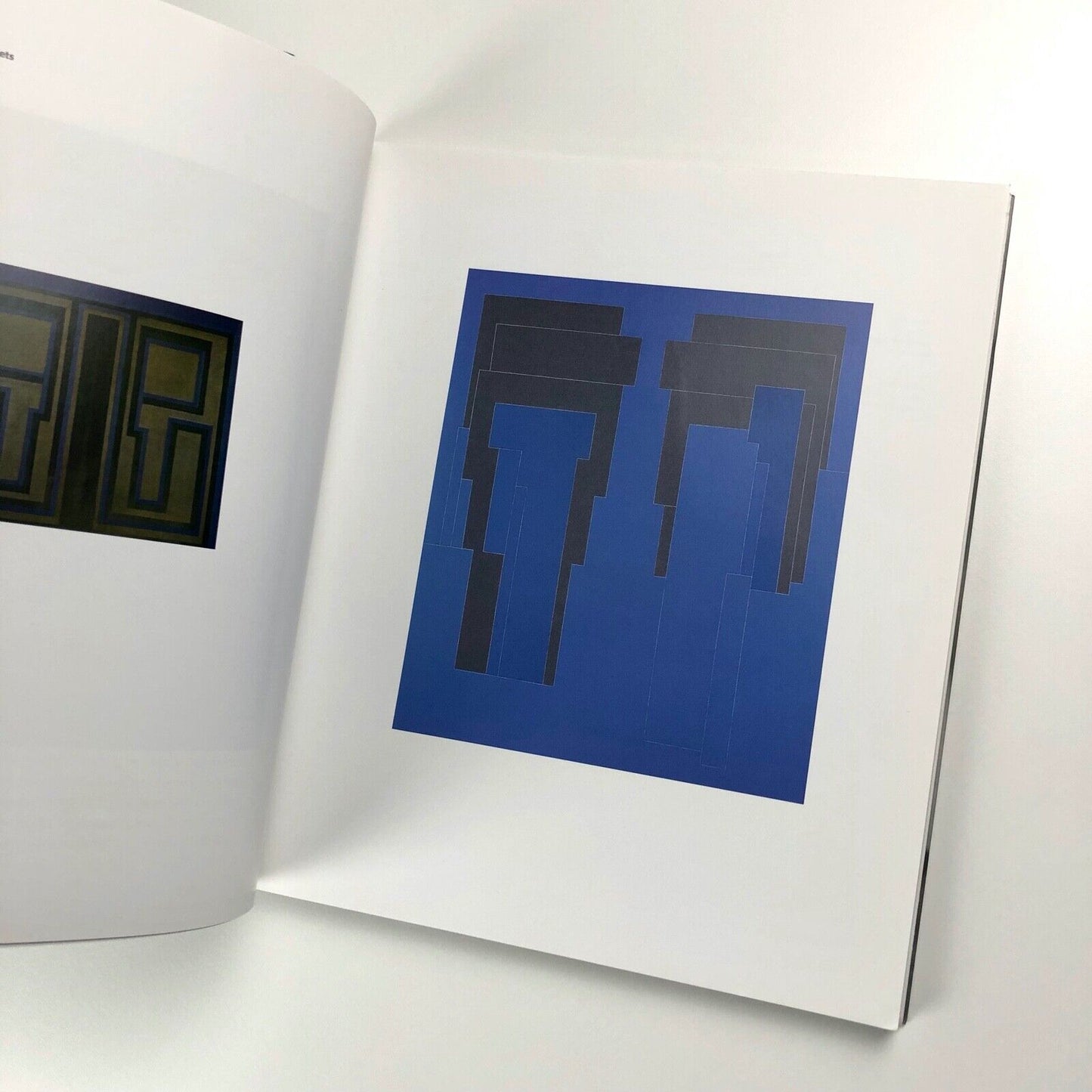 The Art of Robyn Denny by David Alan Mellor | Black Dog Publishing, 2002
