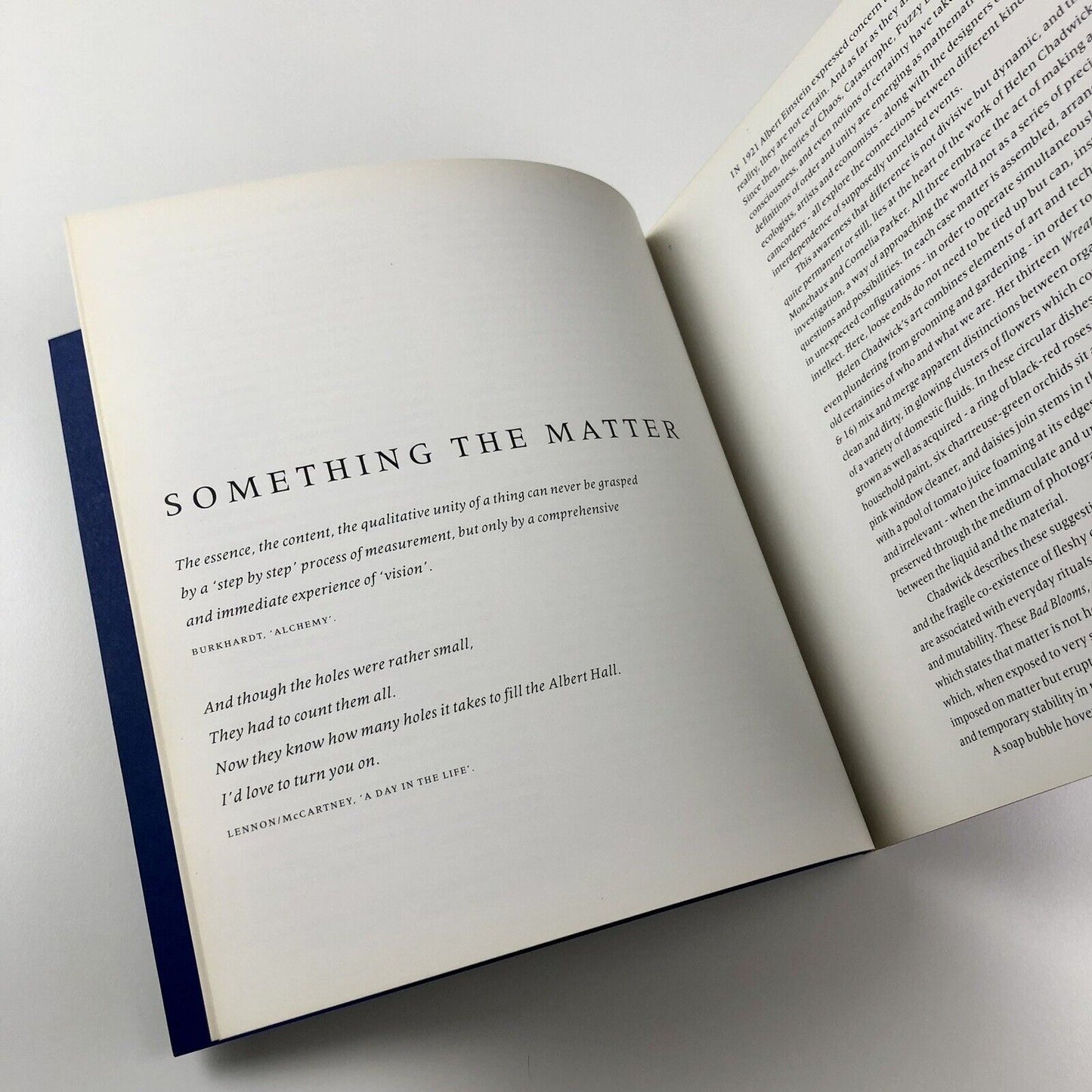 Something the Matter: Helen Chadwick, Cathy De Monchaux, Cornelia Parker | British Council 22nd International Biennal of São Paulo, 1994
