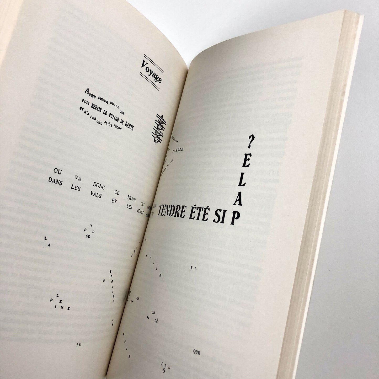 Reading Apollinaire by Timothy Mathews | Manchester University Press, 1987