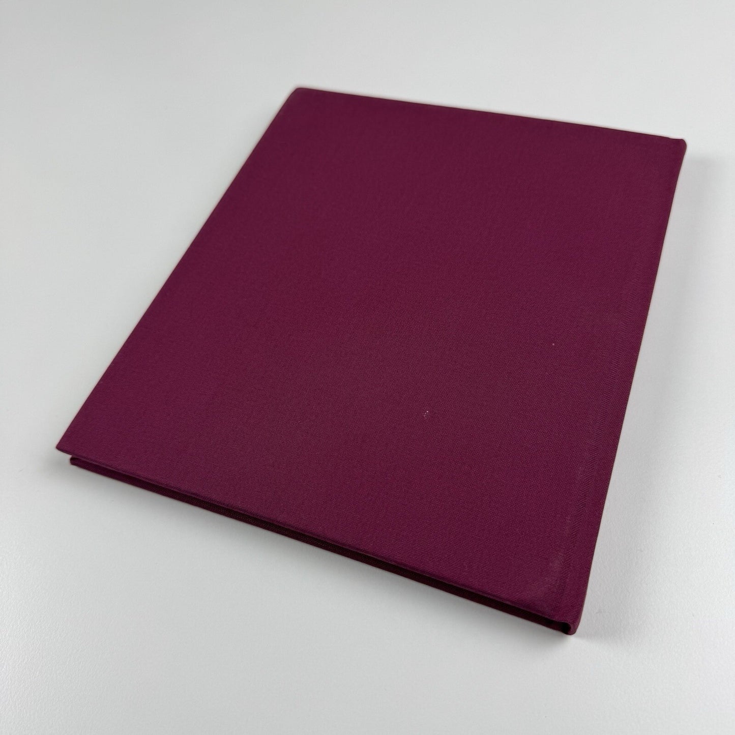 Juan Muñoz. An Inaccessible Moment | Frith Street Books, 2012