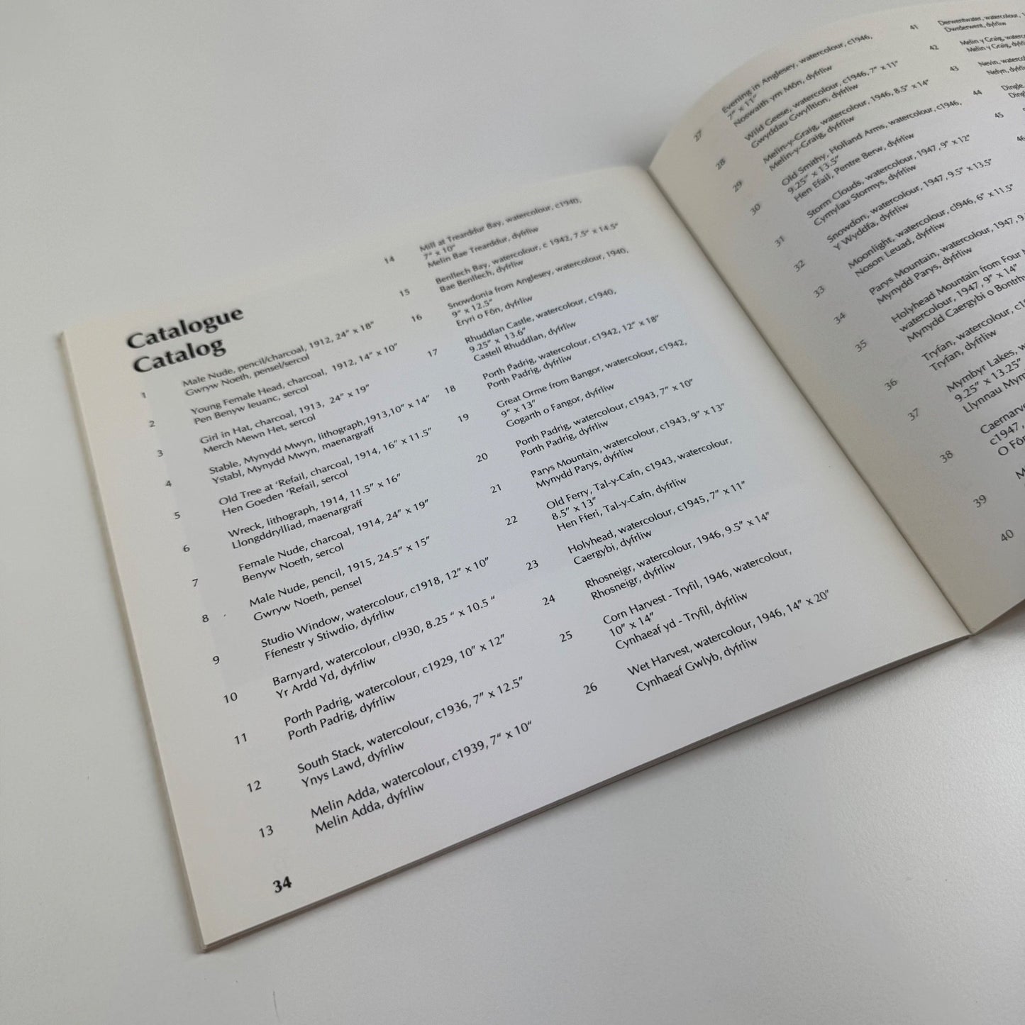 Harry Hughes Williams | Oriel Ynys Môn, 1992