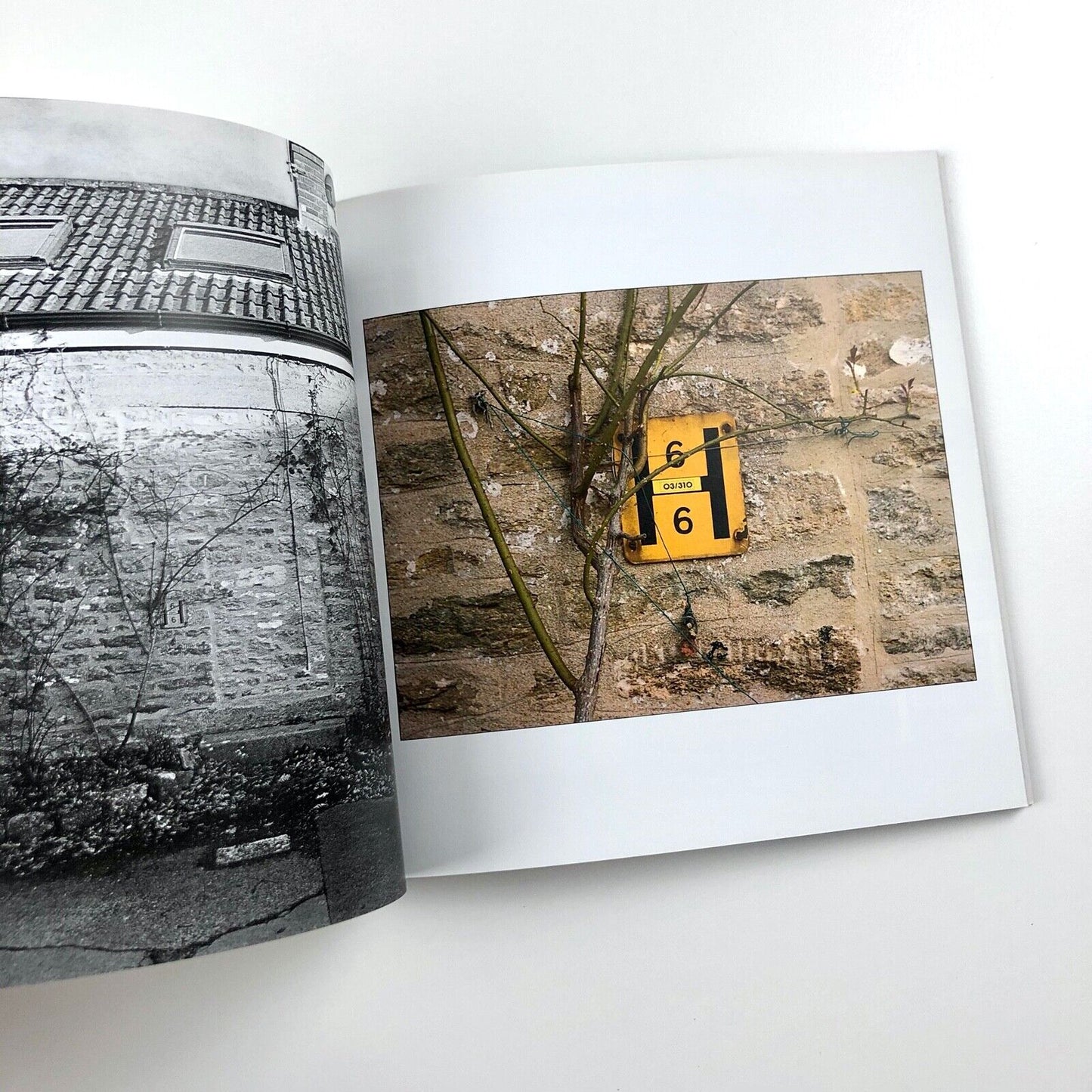 Hydrants: Signs Seen & Unseen | Michael Harvey | 47 Editions 2008