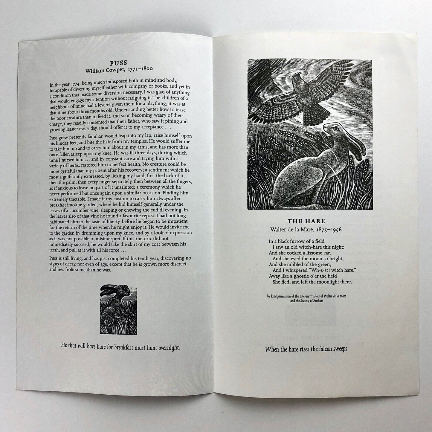 Leaflet to promote A Handful of Hares | Anne Cathcart | Inky Parrot Press, 2009