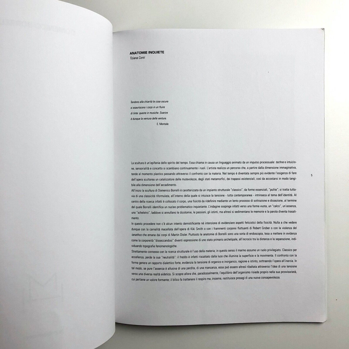 Domenico Borrelli exhibition catalogue | Studio Recalcati, Torino, 1998