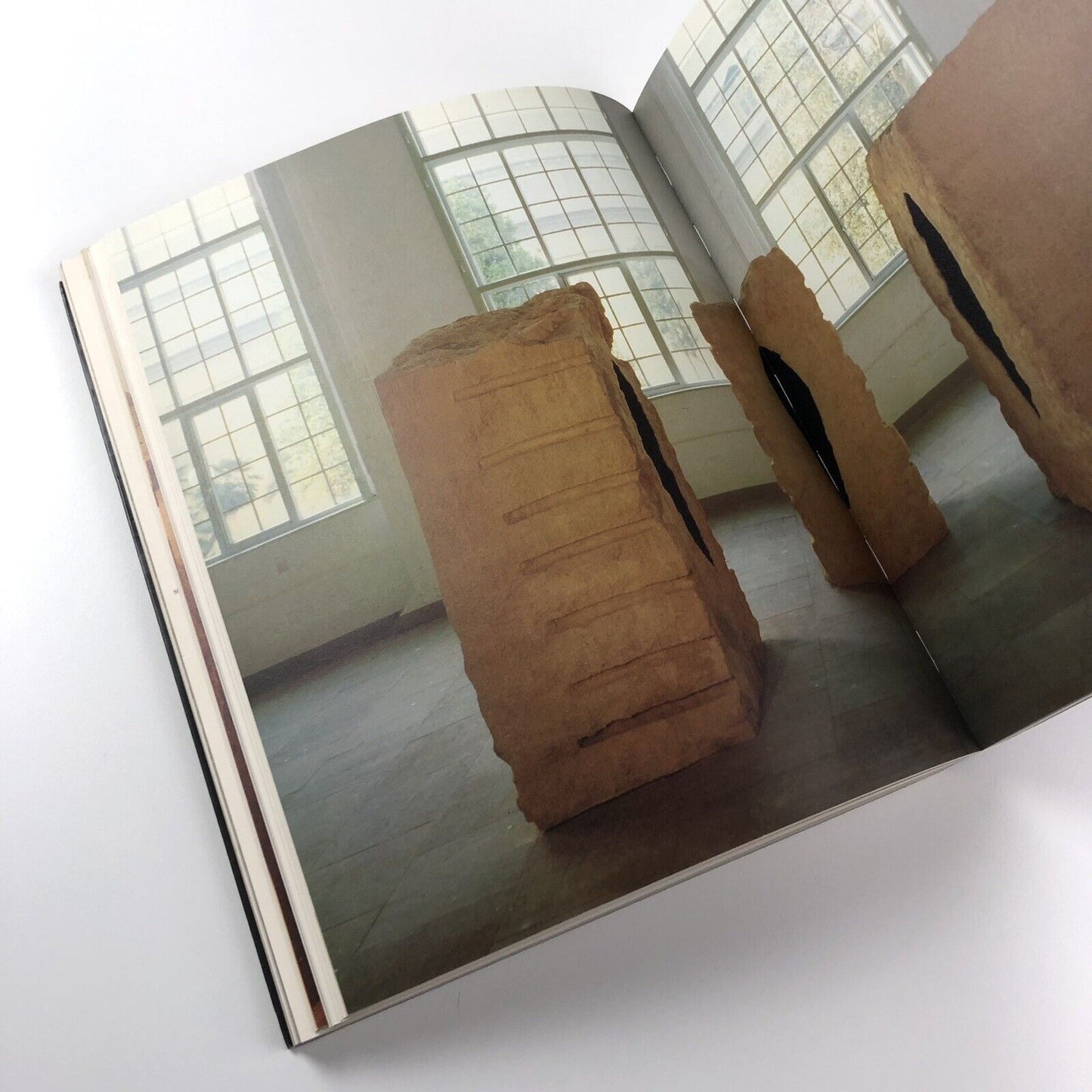 Anish Kapoor by Germano Celant | Edizioni Charta, 1996