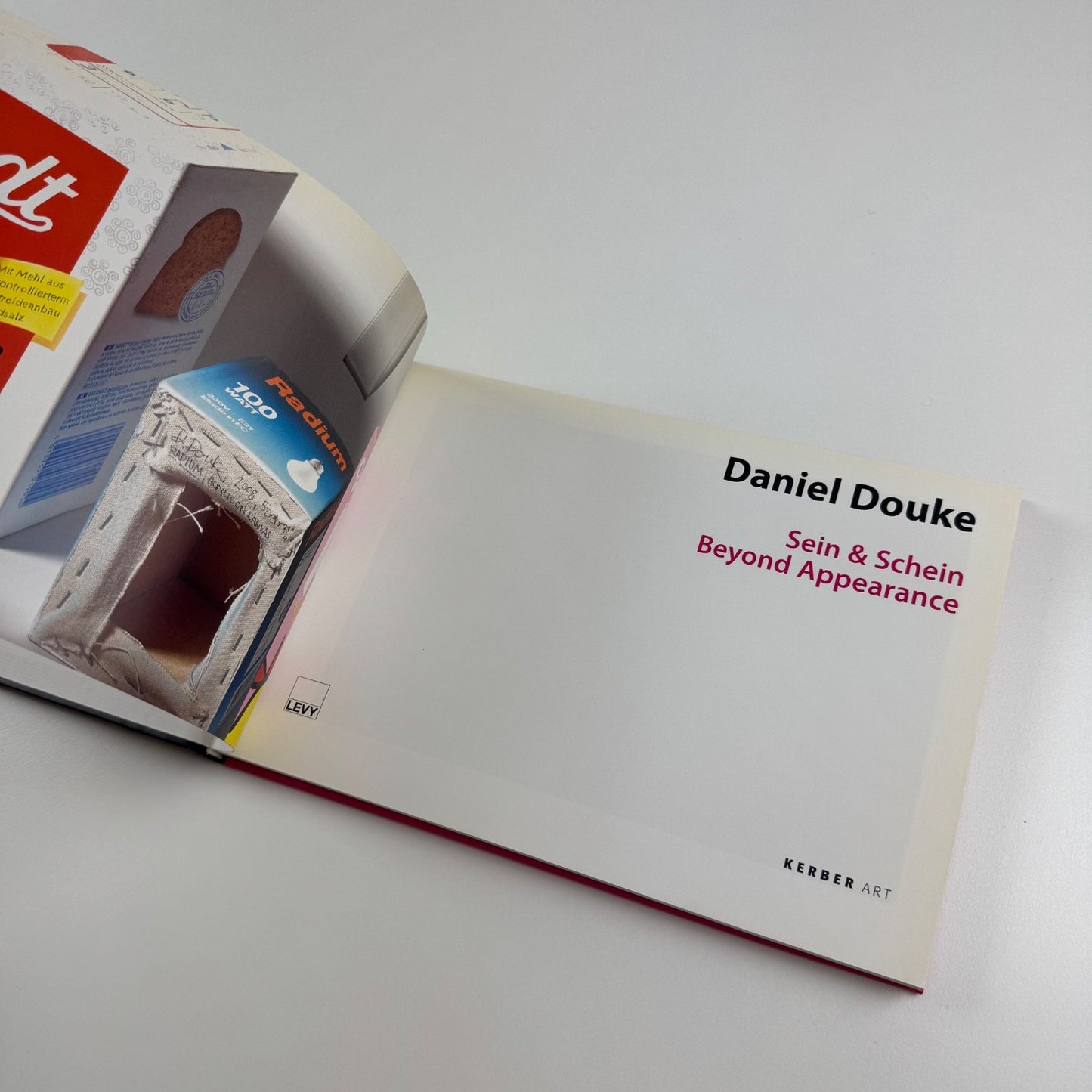 Daniel Douke. Sein & Schein. Beyond Appearance | Kerber Art | LEVY Gallerie, 2009