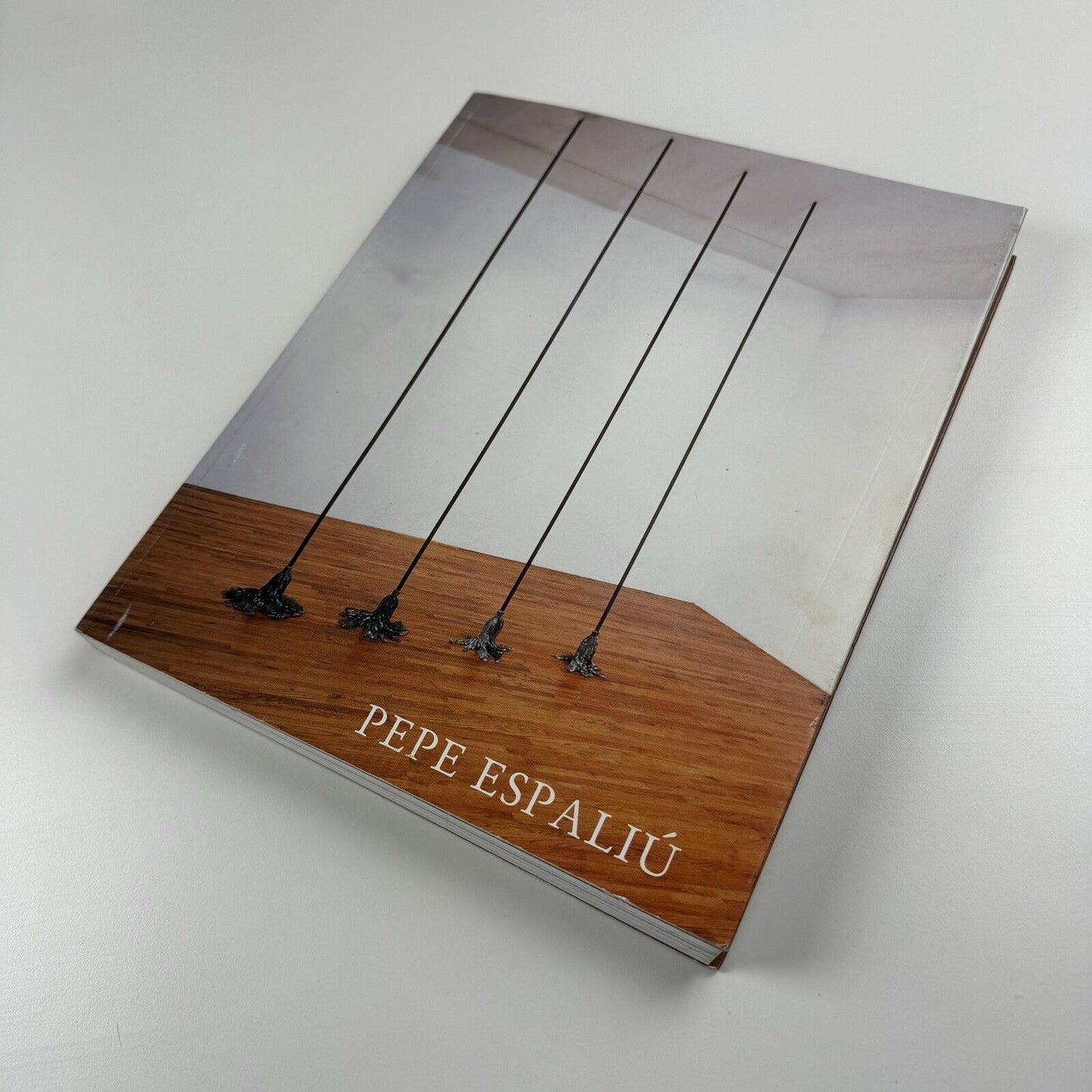 Pepe Espaliú. Artworks and Writings | Documenta Visual Arts Madrid 2007