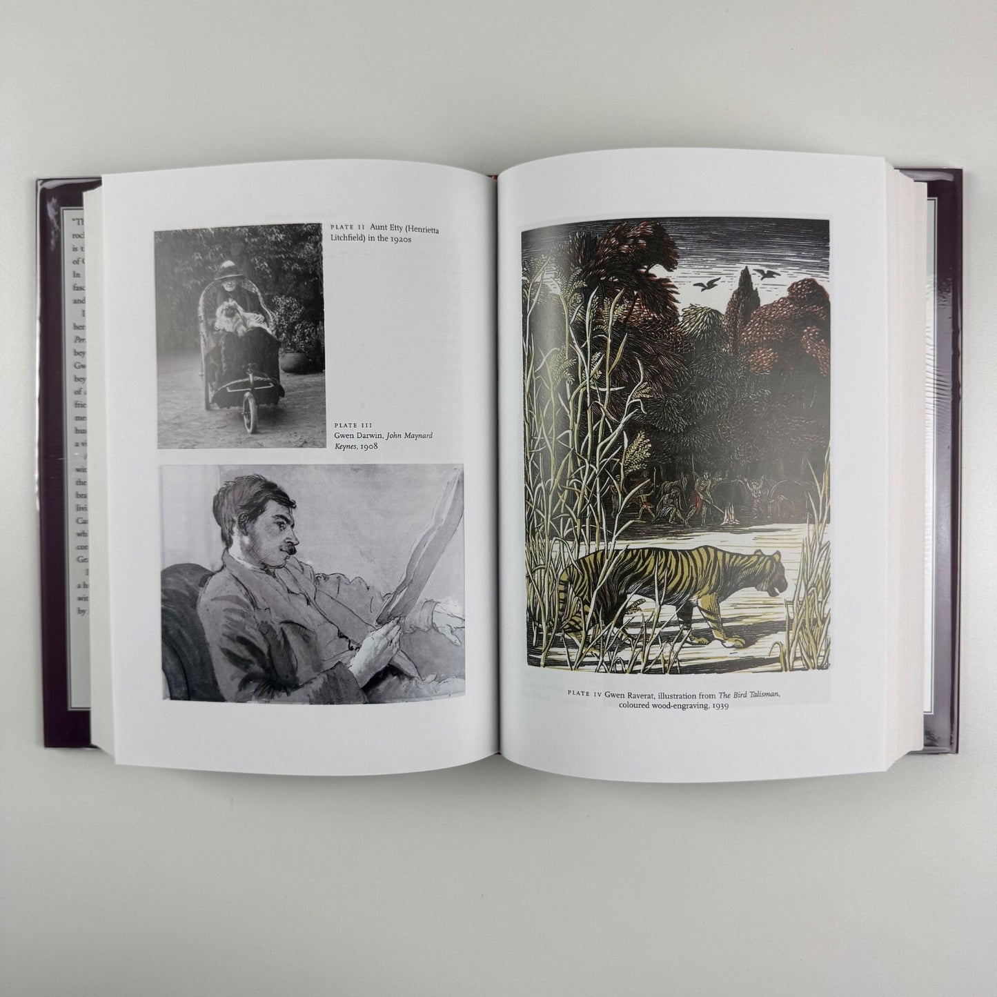 Gwen Raverat. Friends, family & affections. A biography by Frances Spalding | The Harvill Press, 2001