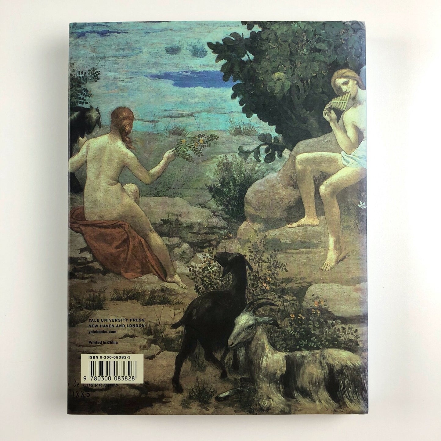 Dream States: Puvis de Chavannes, Modernism, and the Fantasy of France by Jennifer L. Shaw | Yale 2002