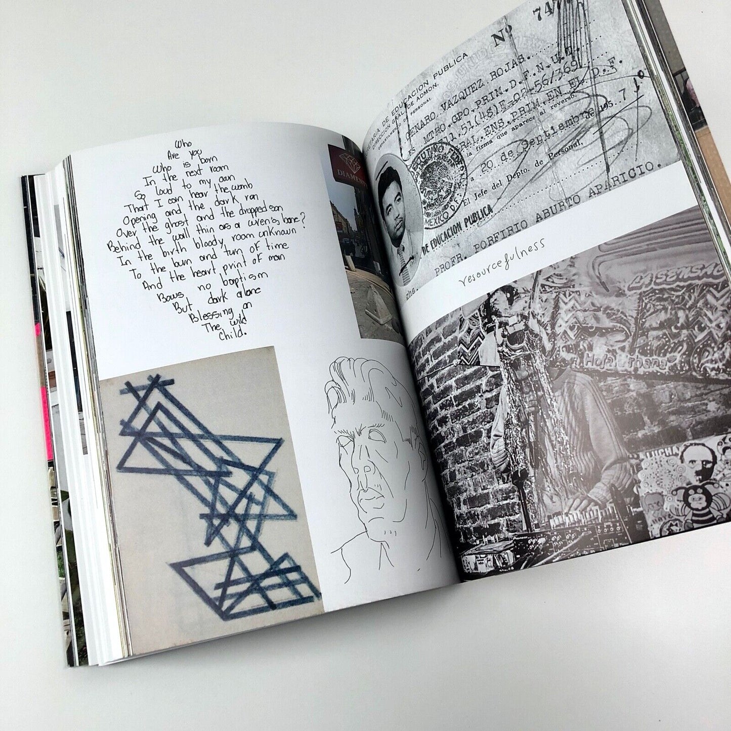 Abraham Cruzvillegas: Empty Lot | Tate Modern exhibition catalogue, 2015