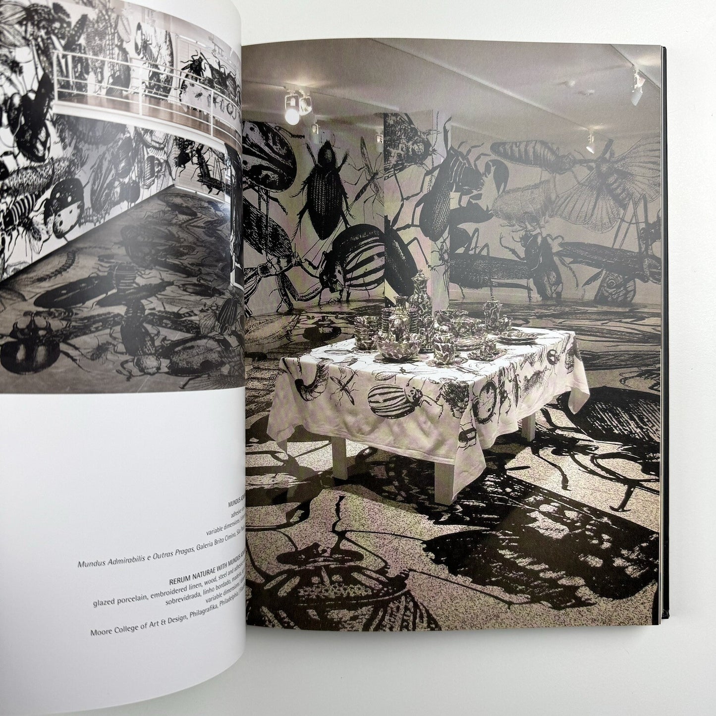 Regina Silveira | Text by Luciana Brito, Adolfo Montejo Navas et al | Charta, 2011