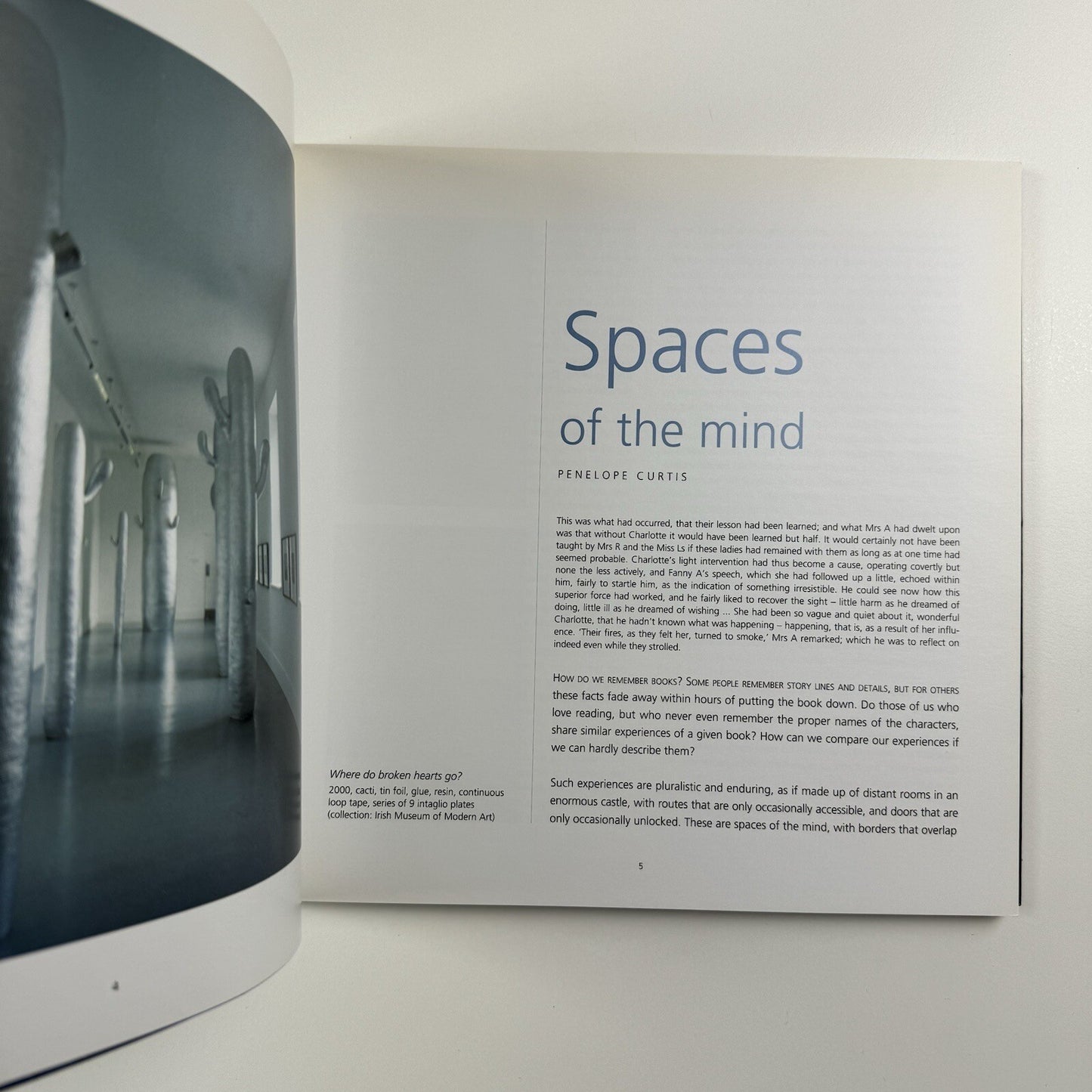Profile 23. Daphne Wright | Limerick City Gallery of Art | Gandon Editions, 2006