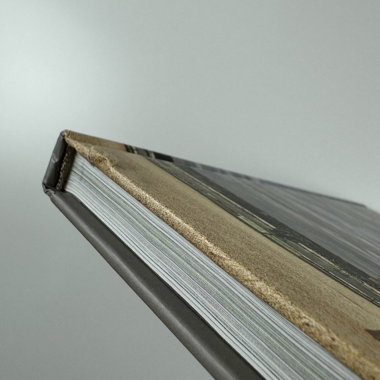 Penone – Versailles | Musée National du Château De Versailles, 2013