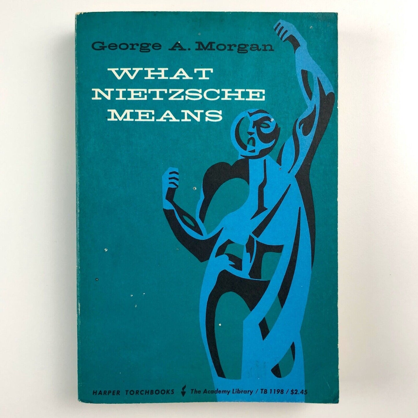 What Nietzsche Means by George A. Morgan | Harper Torchbooks, 1965