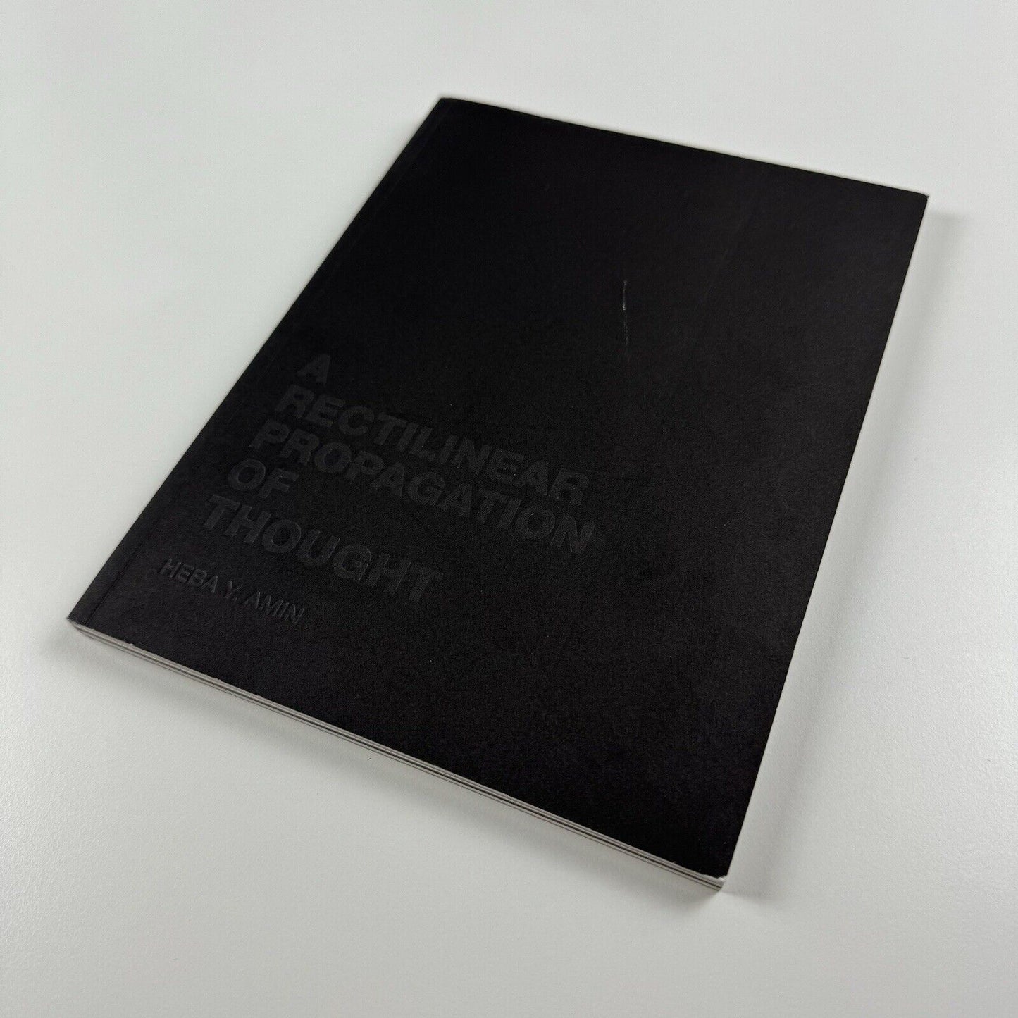 A Rectilinear Propagation of Thought: Heba Y. Amin | Zilberman Gallery catalogue, 2018